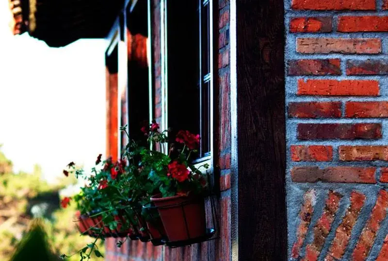 Double Room in La Posada de Langre Double Room in La Posada de Langre