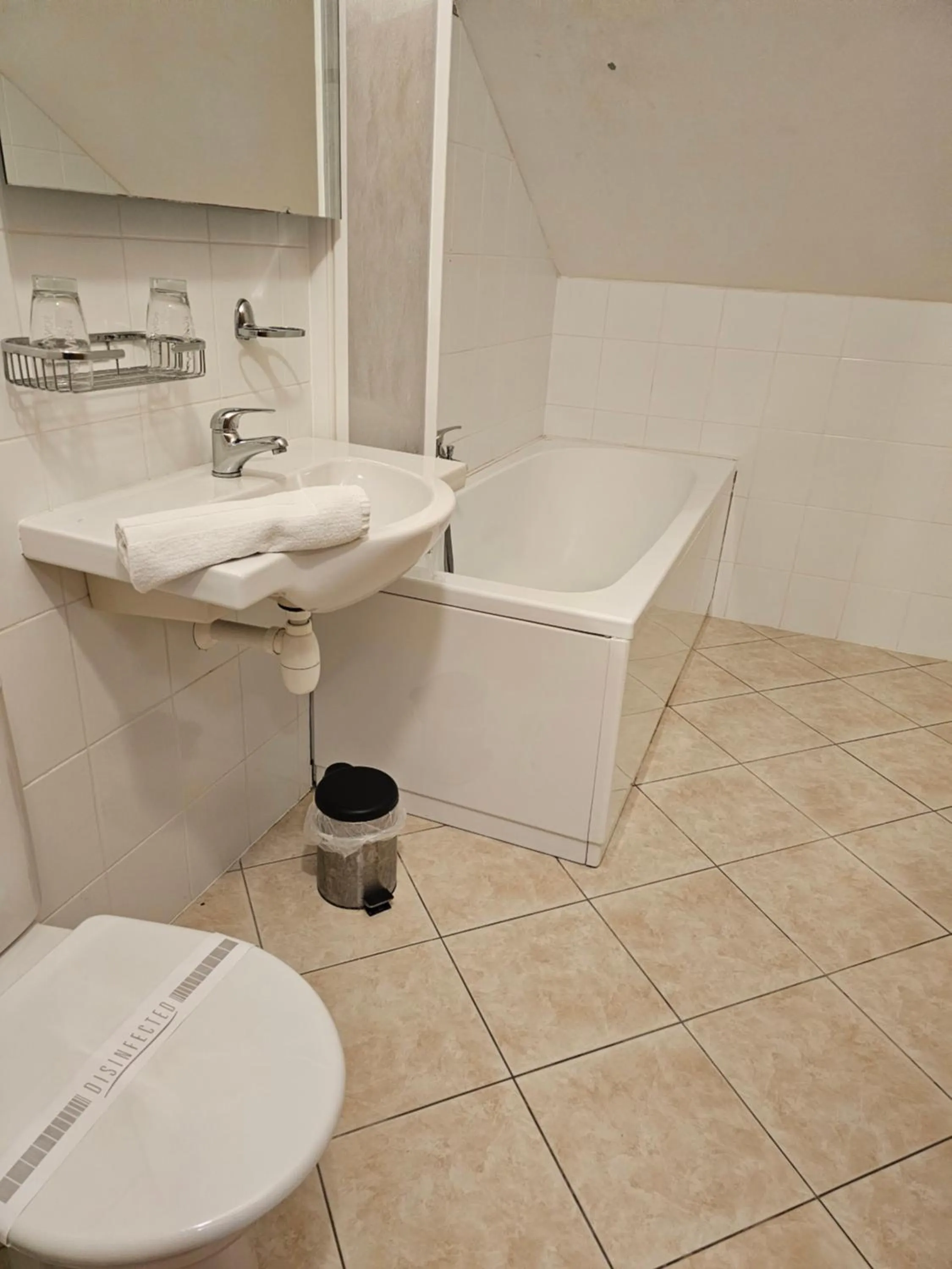 Toilet in Hotel U Divadla