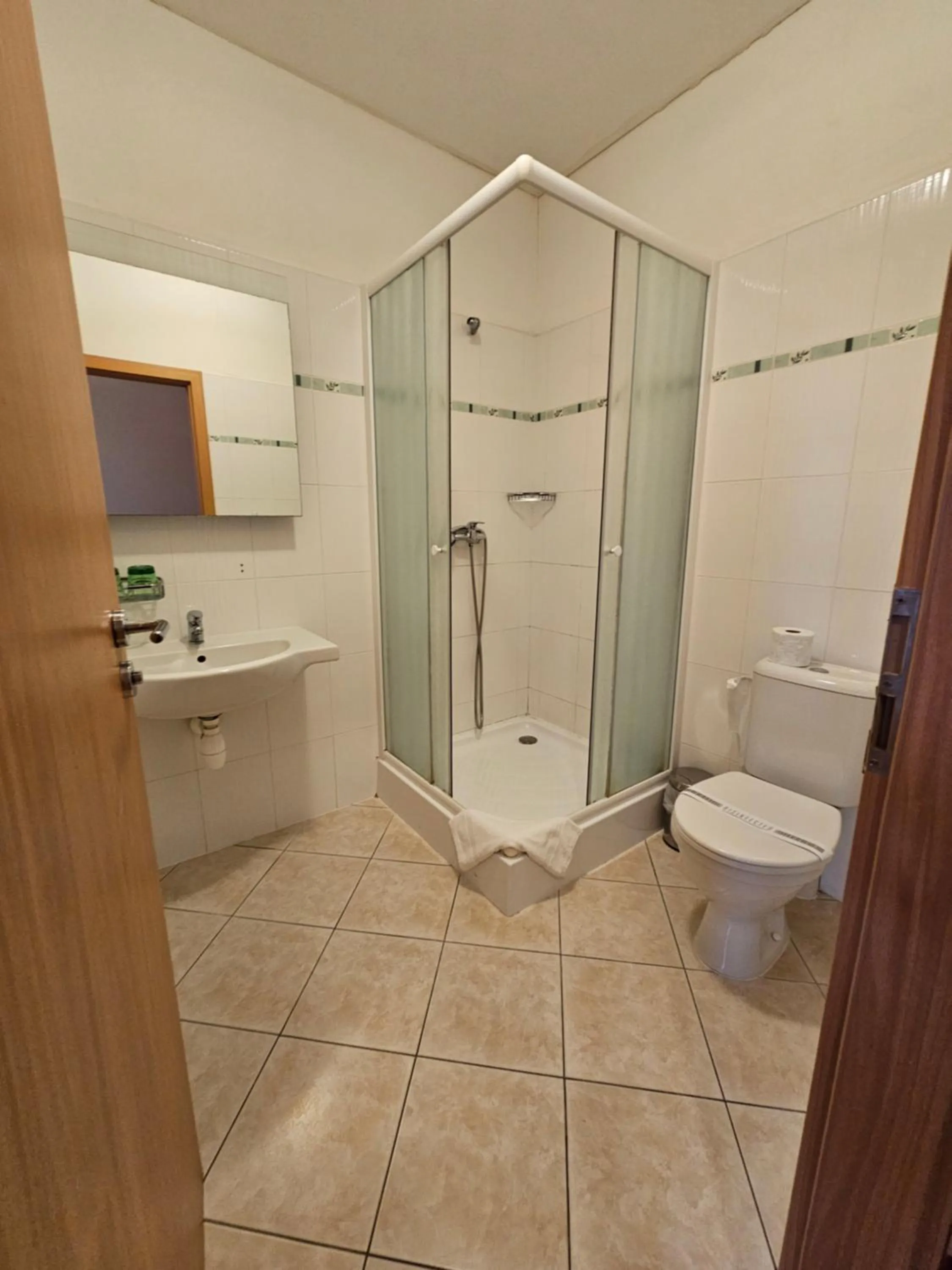 Shower in Hotel U Divadla