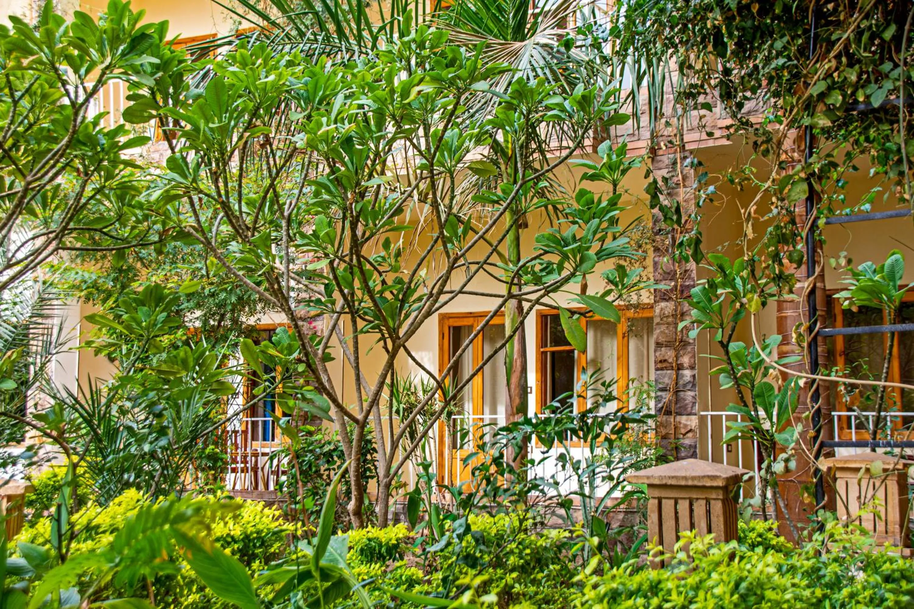 Garden in Thebes Hotel