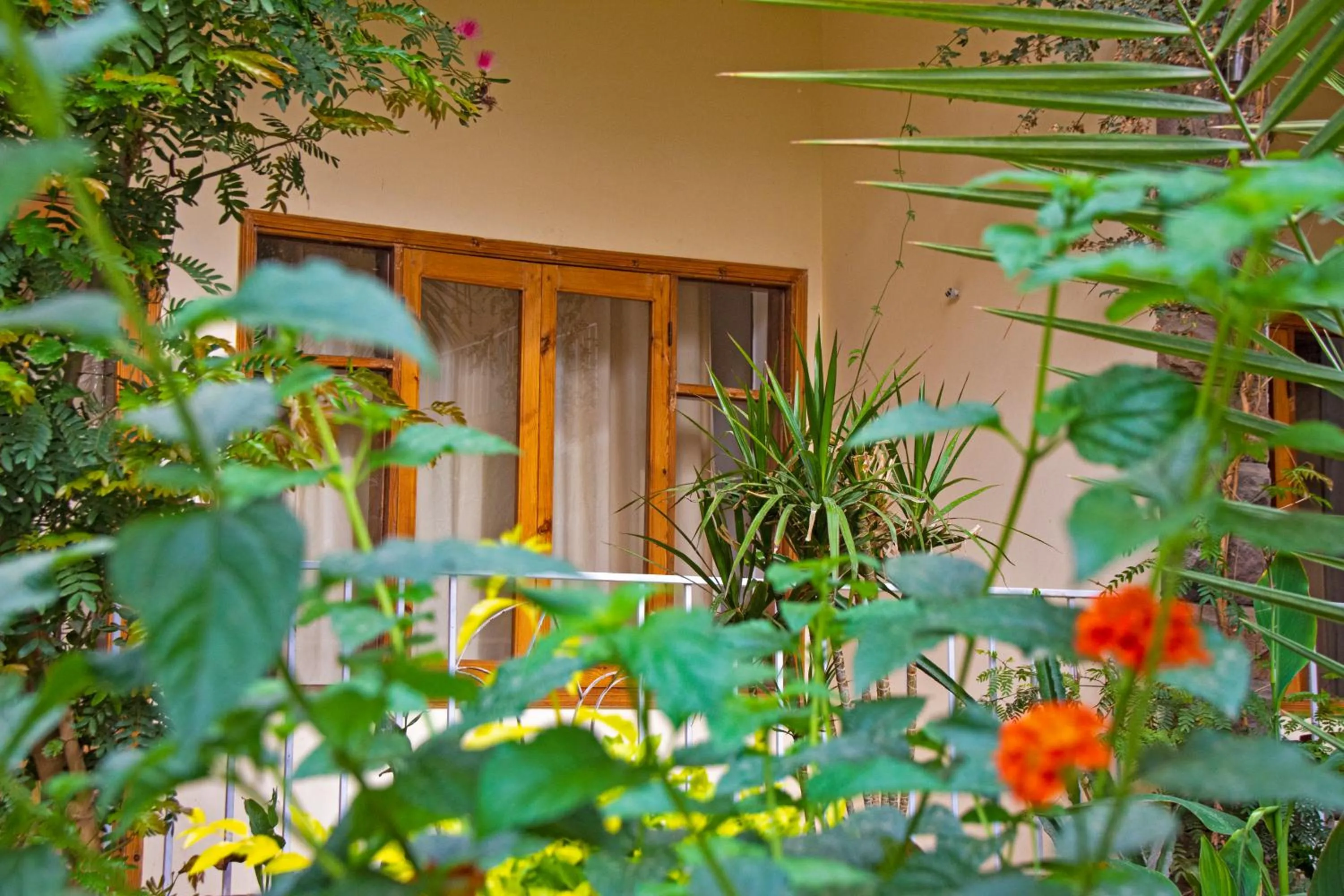 Garden in Thebes Hotel