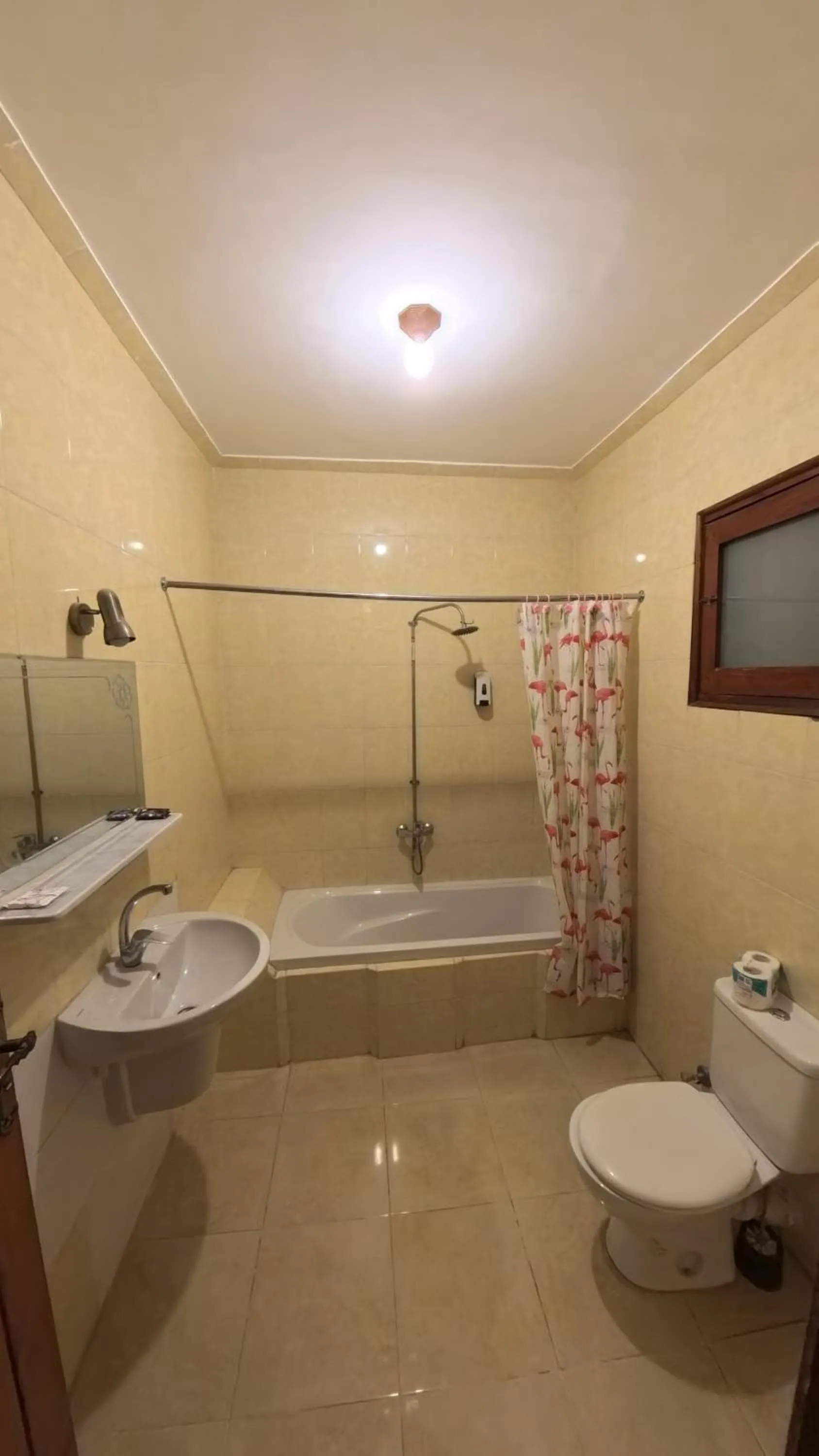 Toilet in Thebes Hotel