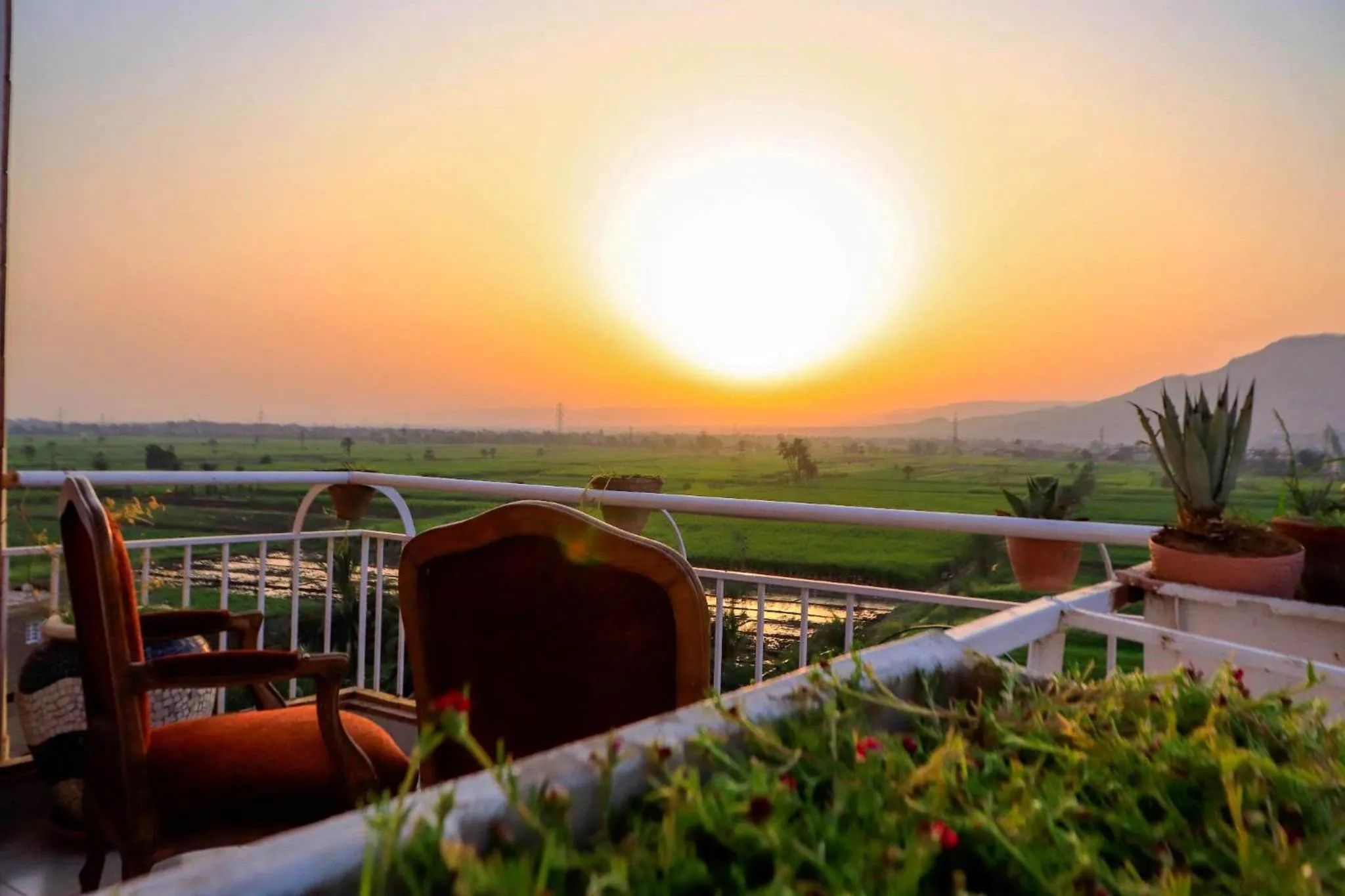 Natural landscape in Thebes Hotel