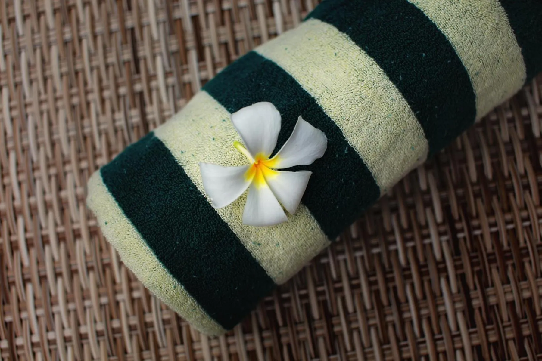 Breakfast in Sari Gili Bungalow