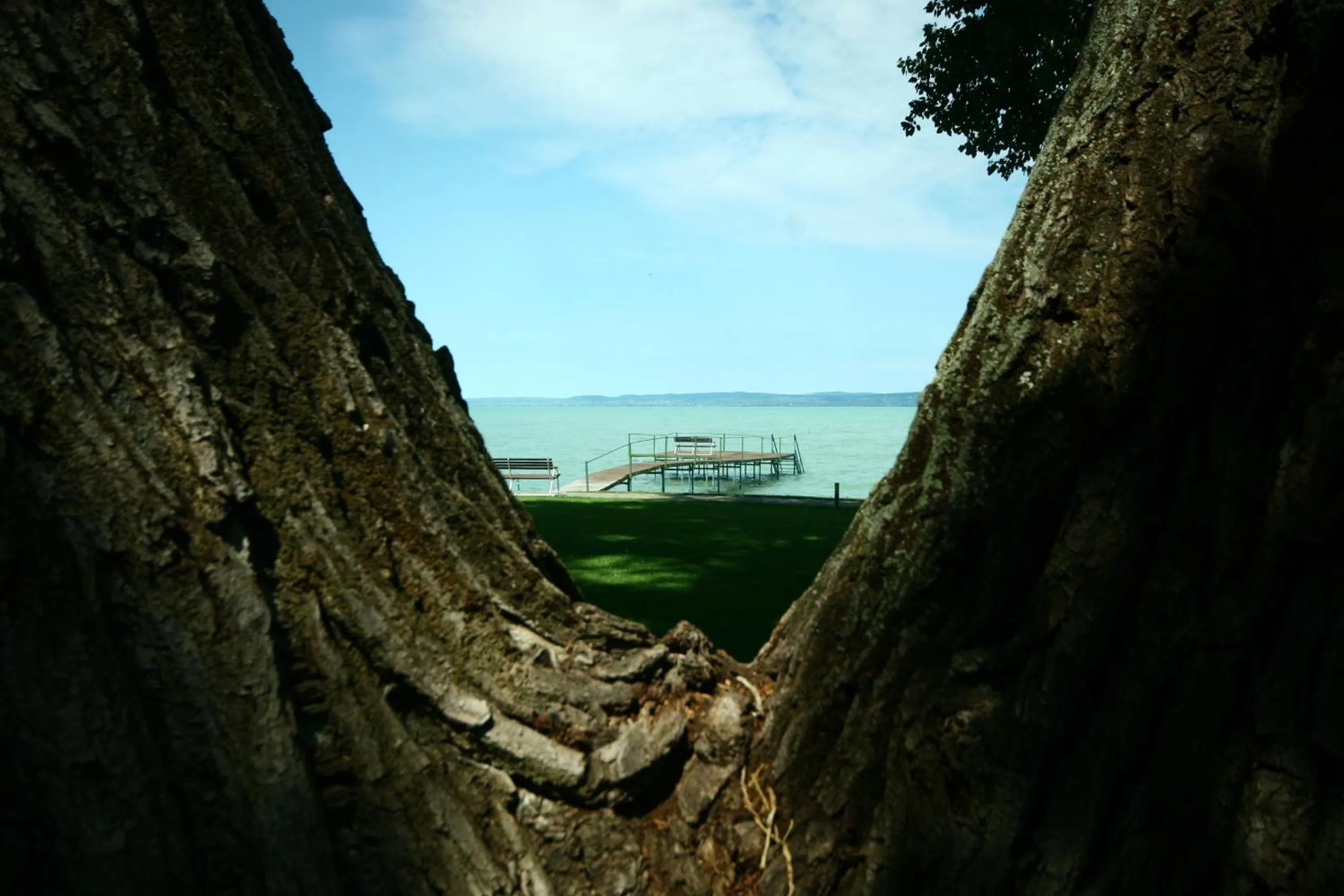 Garden in Tópart Hotel
