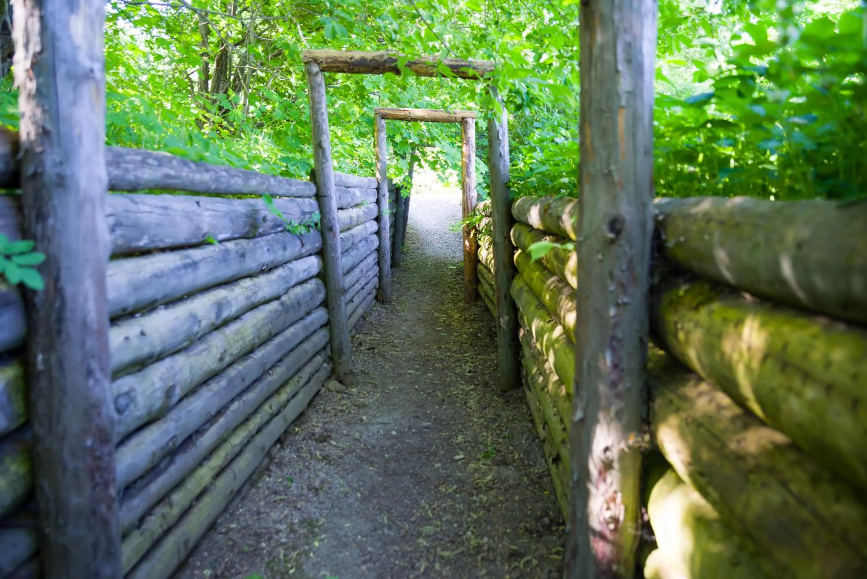 Activities in Saka Manor