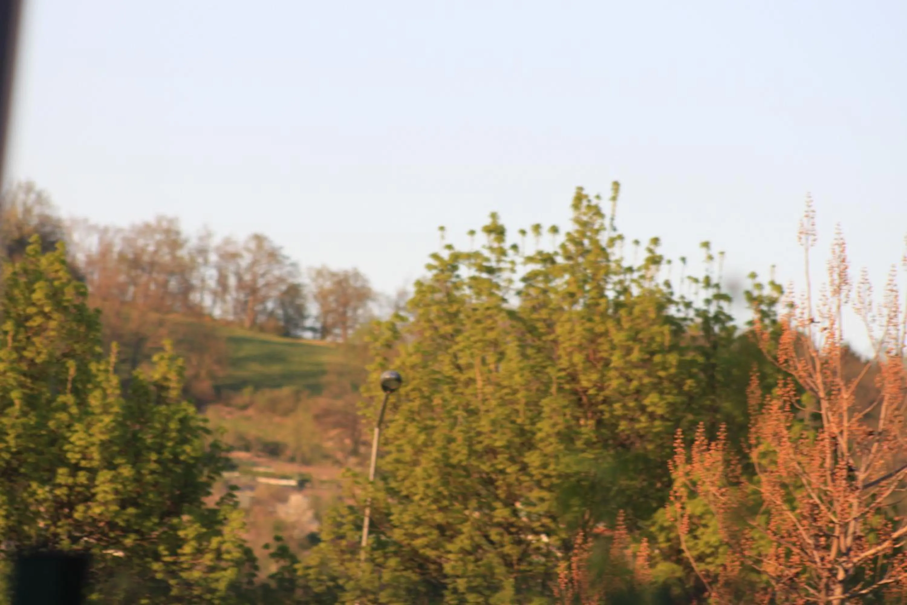 Other in Logis Hôtel Restaurant de la Dore