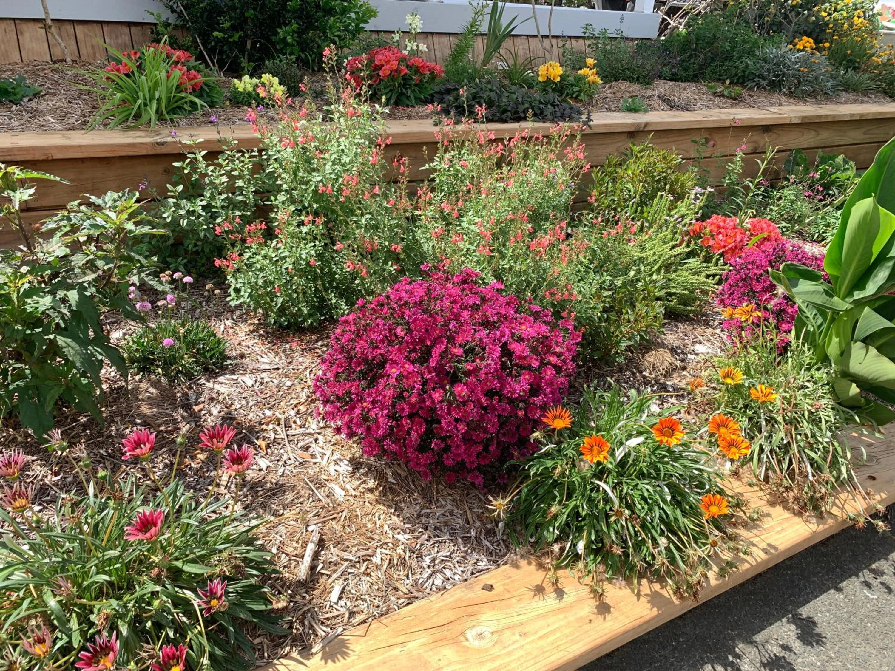 Tracy's Boutique B&B Farmstay