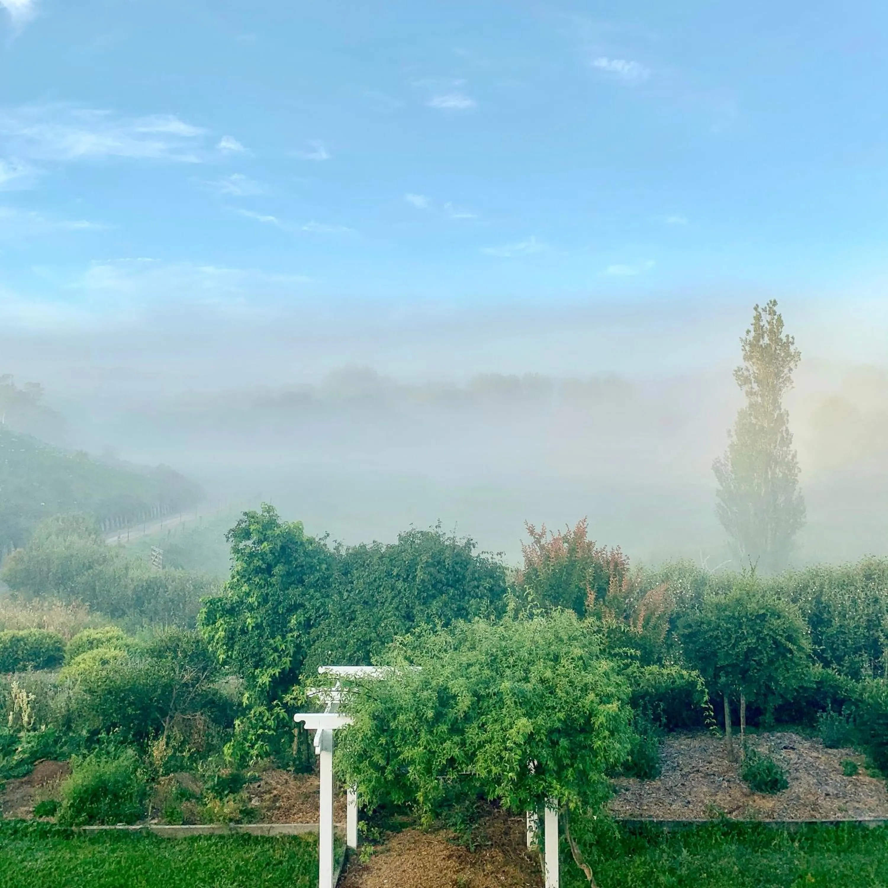 View (from property/room) in Tracy's Boutique B&B Farmstay