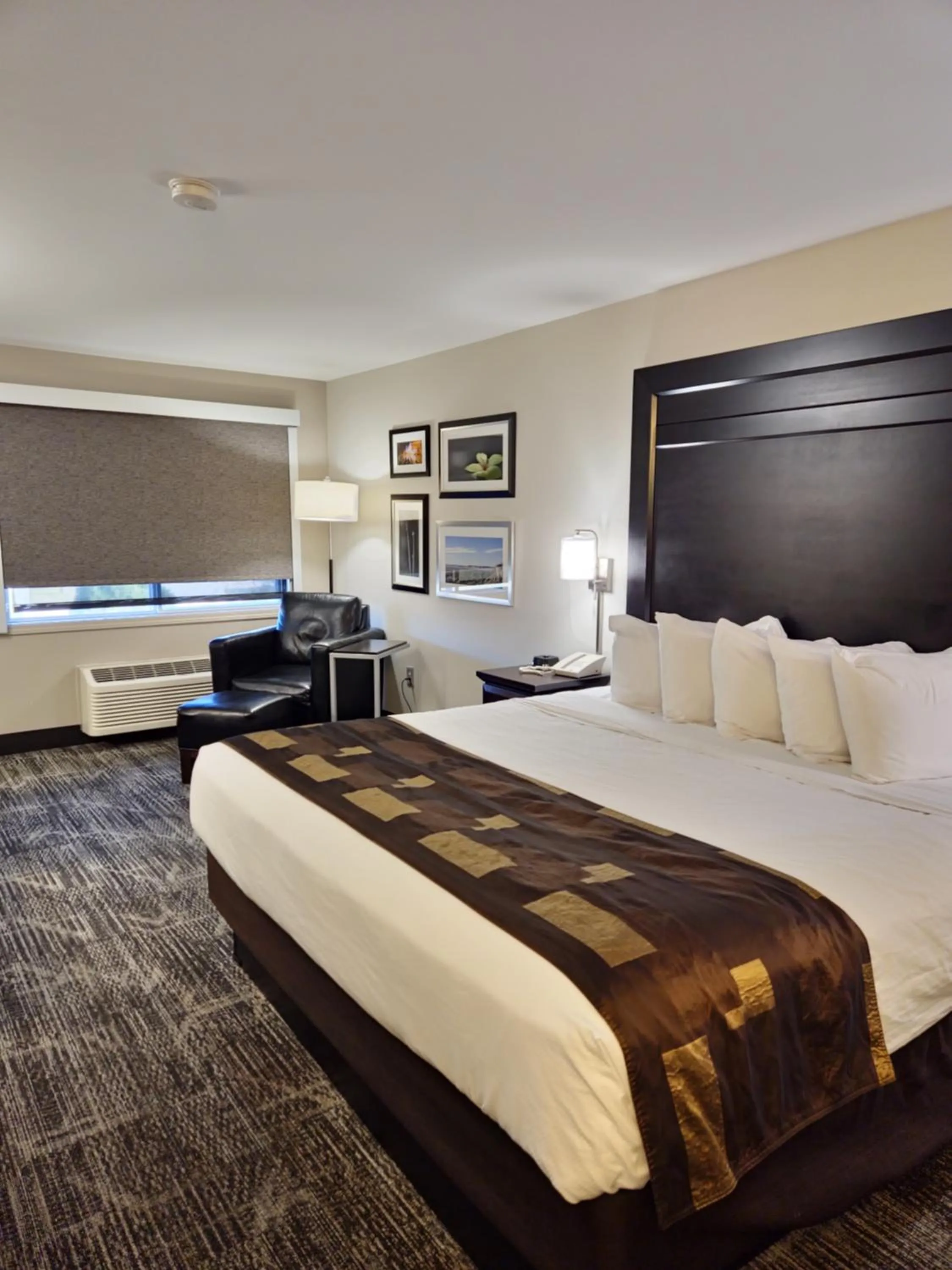 Photo of the whole room, Bed in Kelly Inn Billings