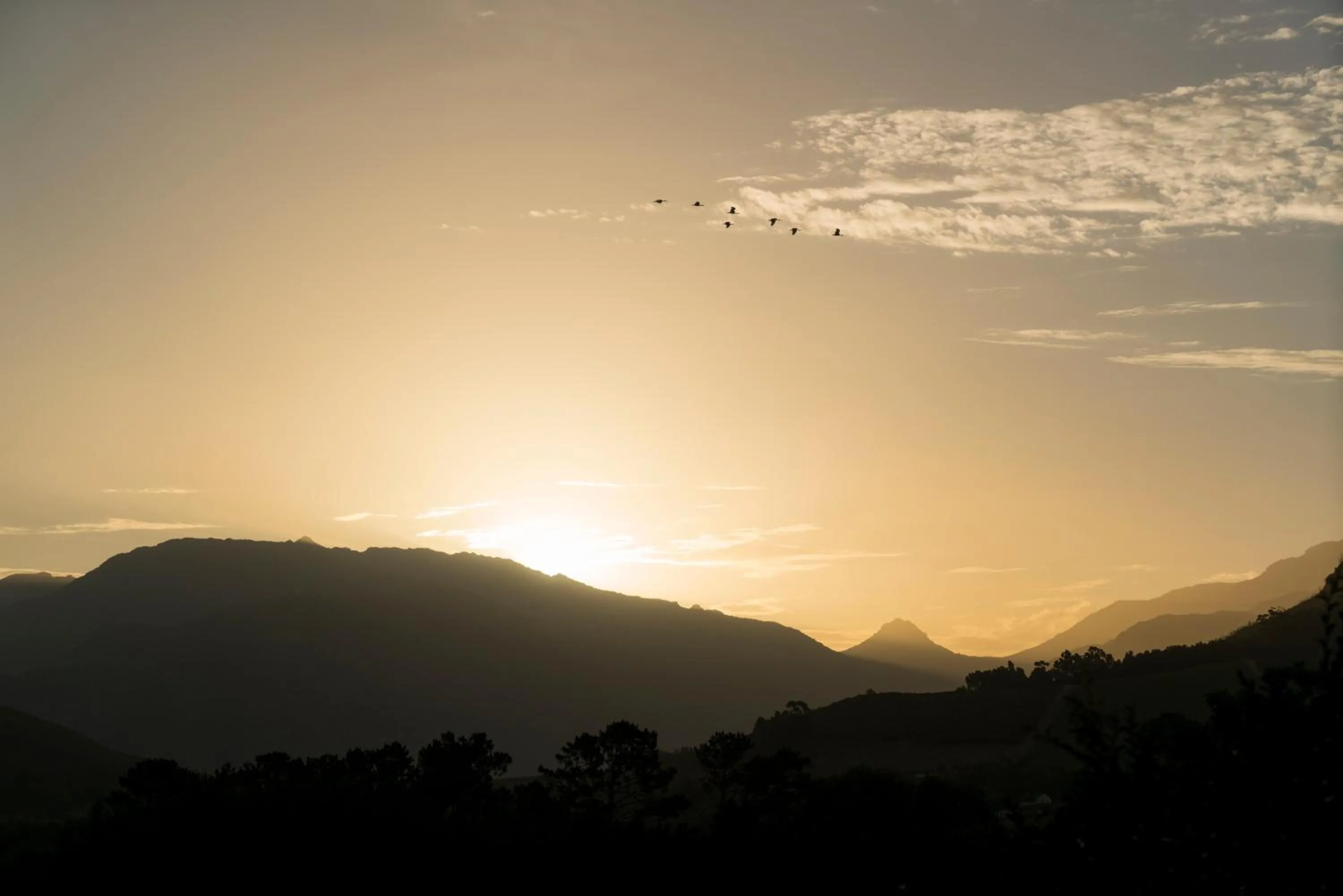 Area and facilities in Cape Vue Country House