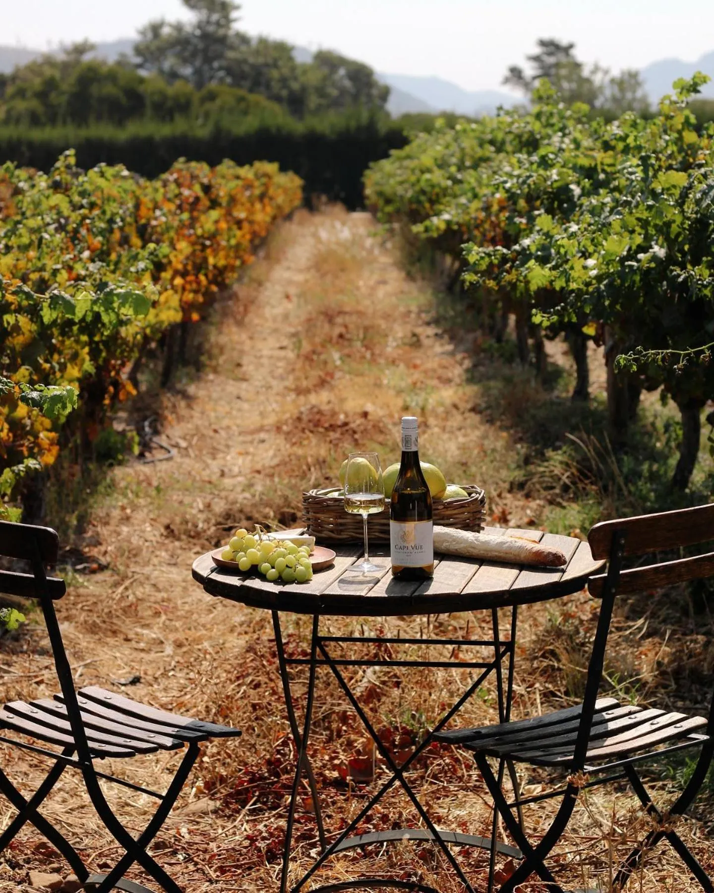 Natural landscape in Cape Vue Country House