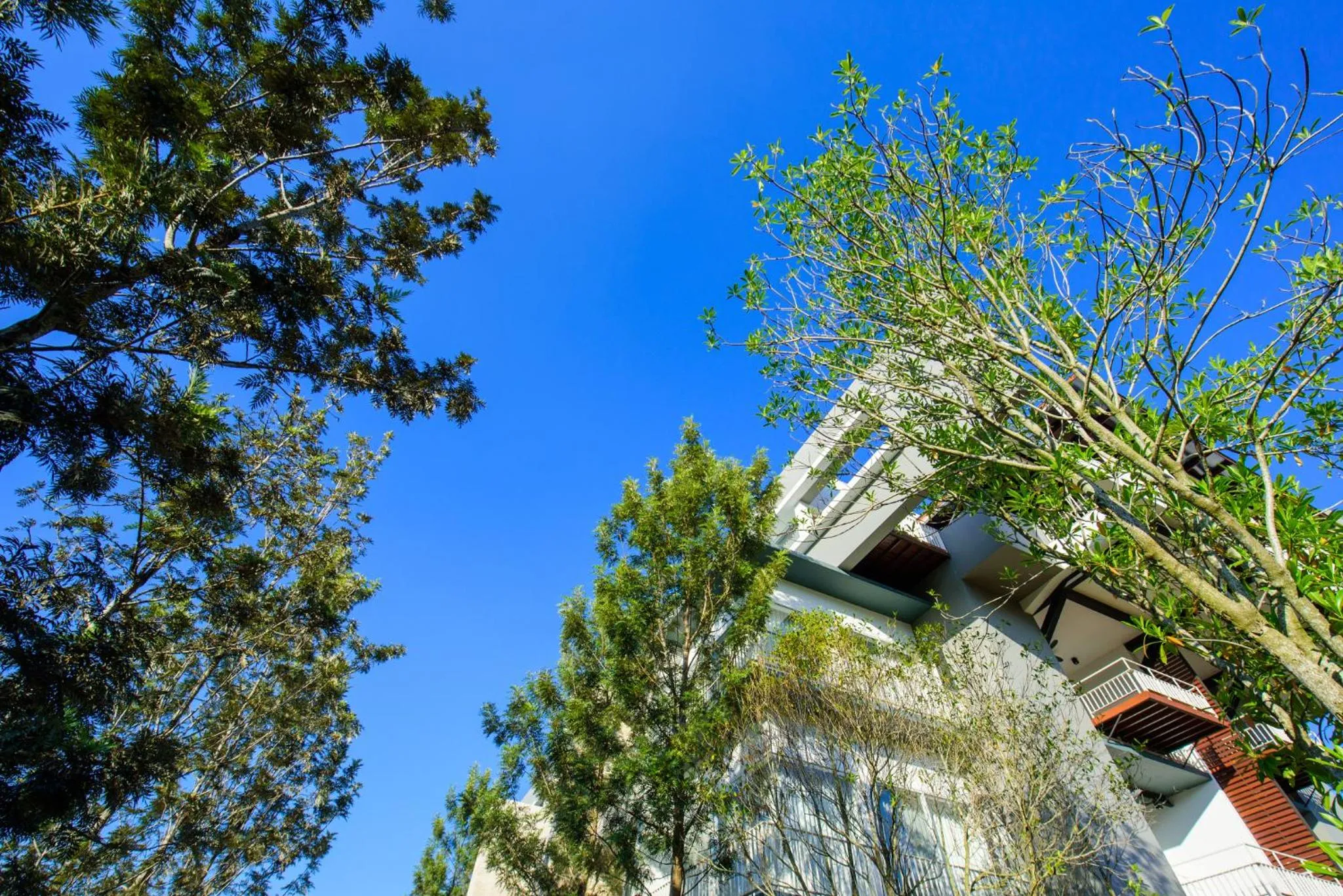 Property building in The Gallery Khao Yai Hotel and Residence - SHA Plus