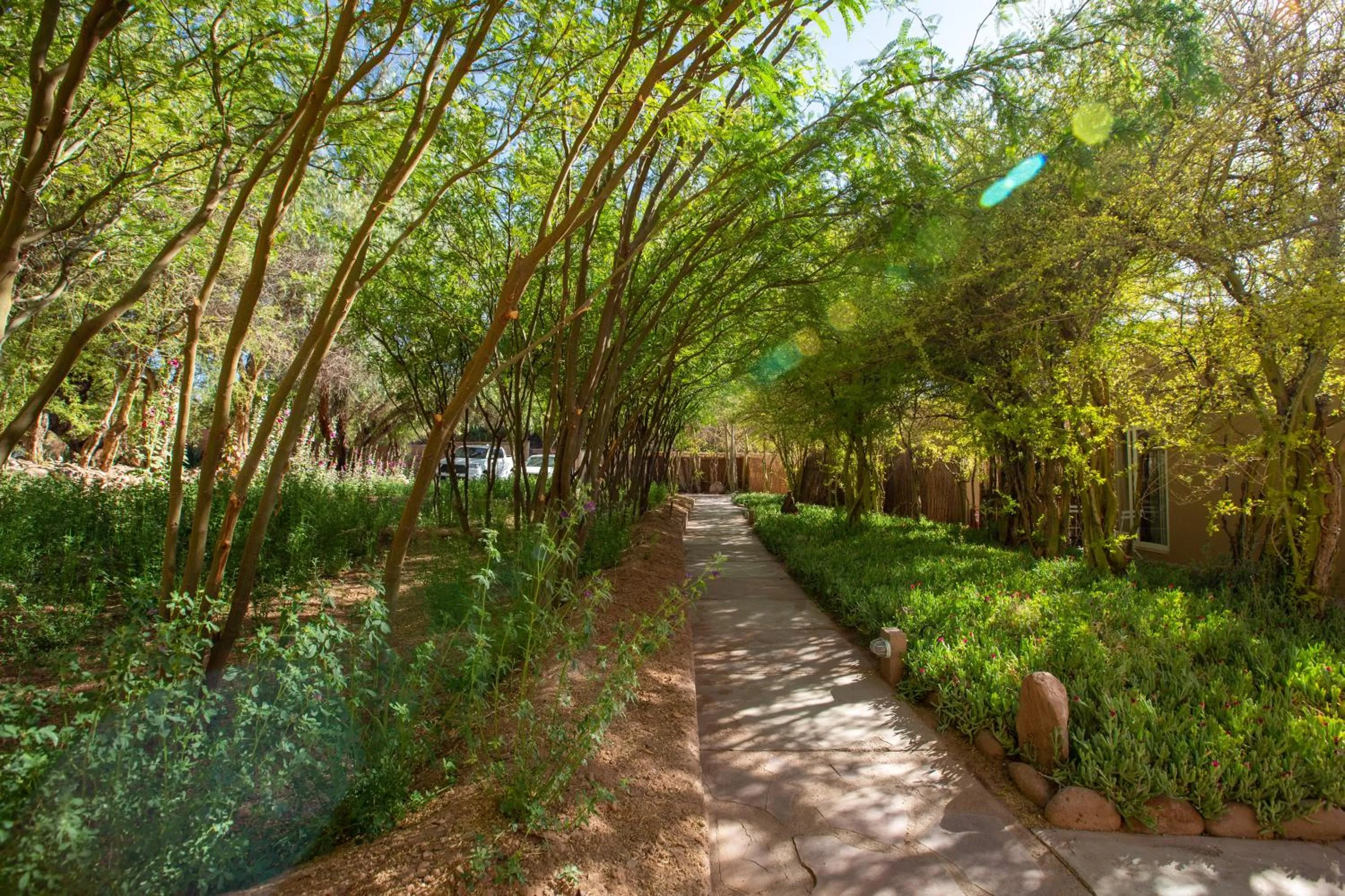 Day in Casa Solcor Boutique Bed & Breakfast