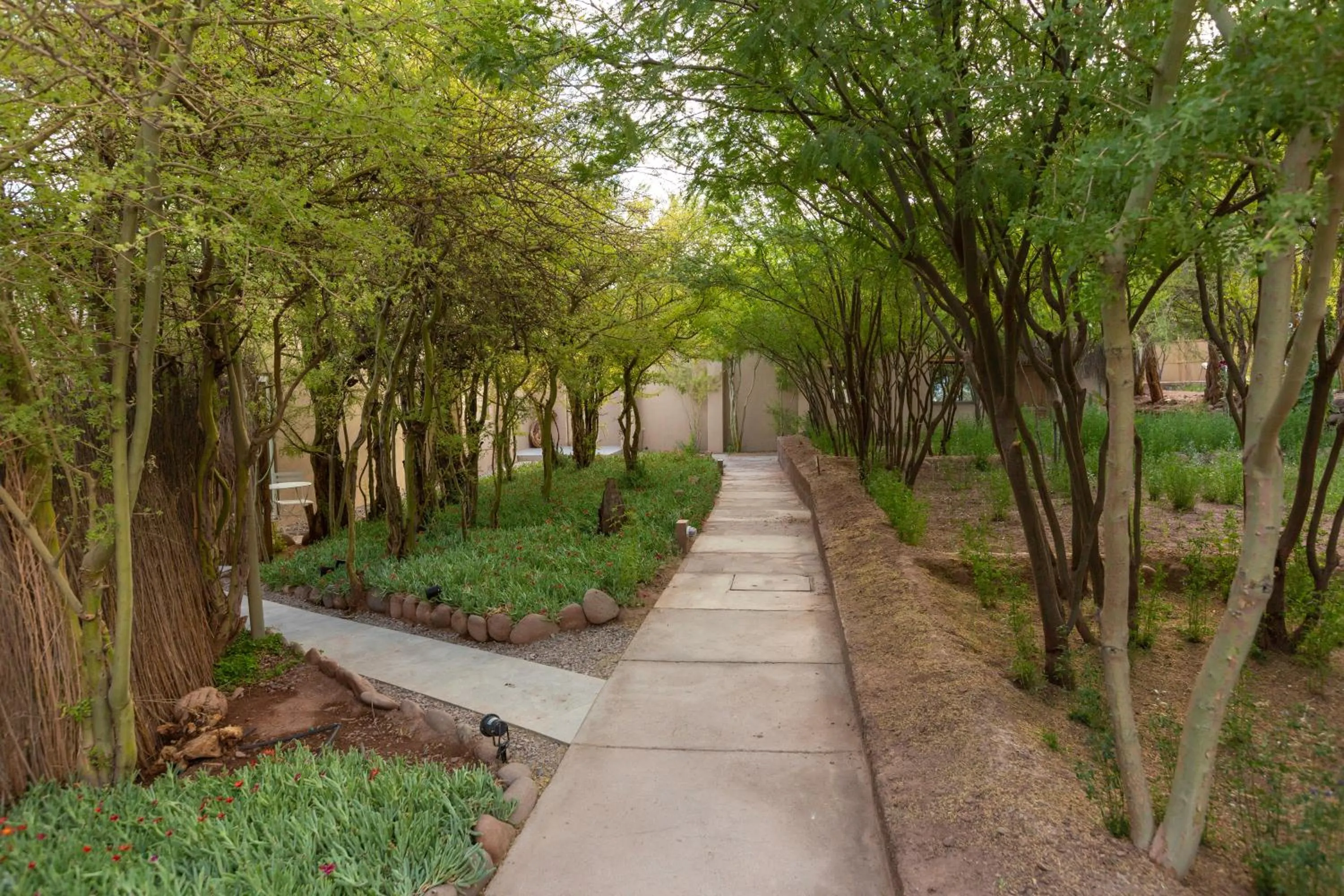 Garden in Casa Solcor Boutique Bed & Breakfast