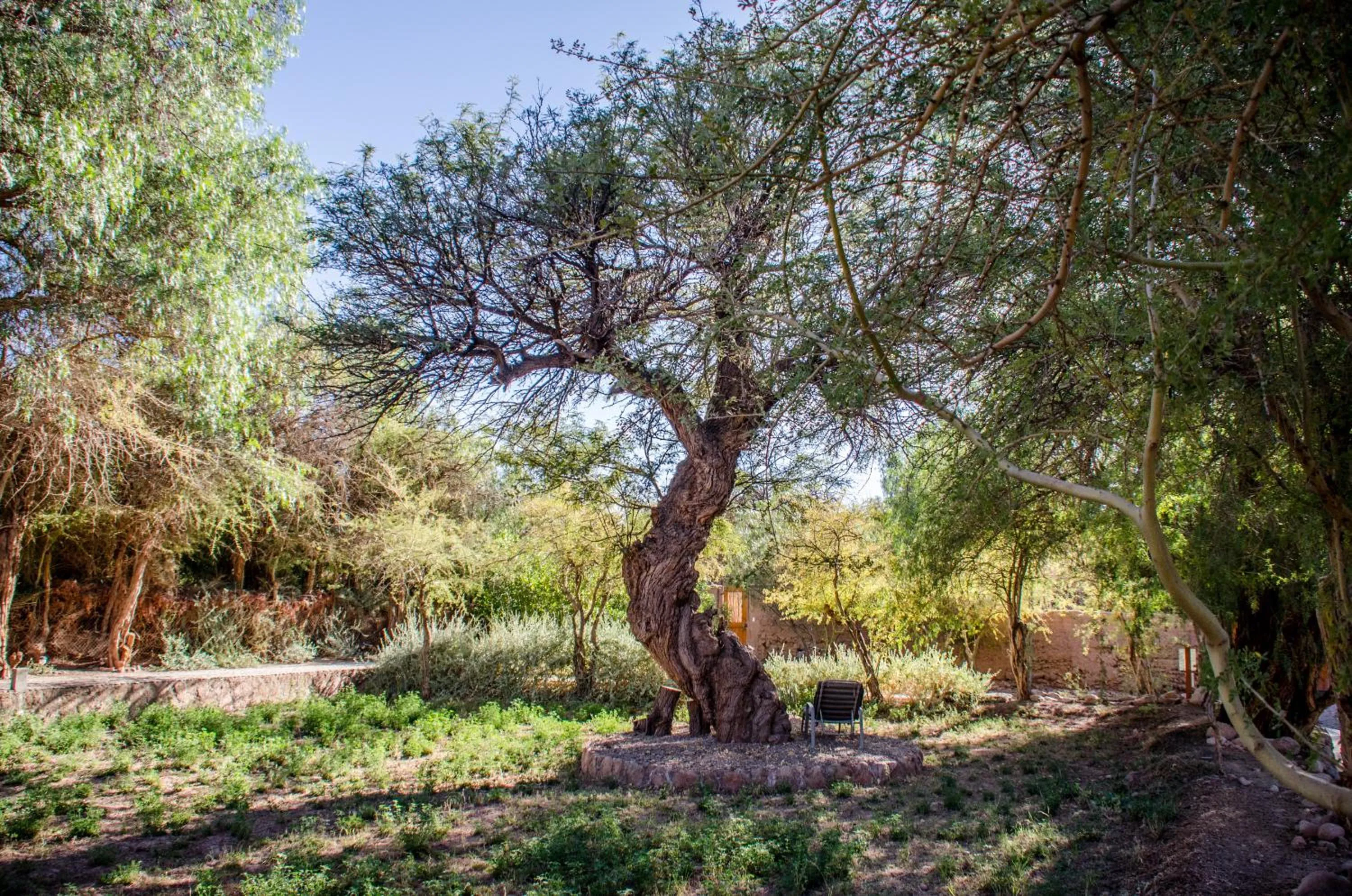 Day in Casa Solcor Boutique Bed & Breakfast