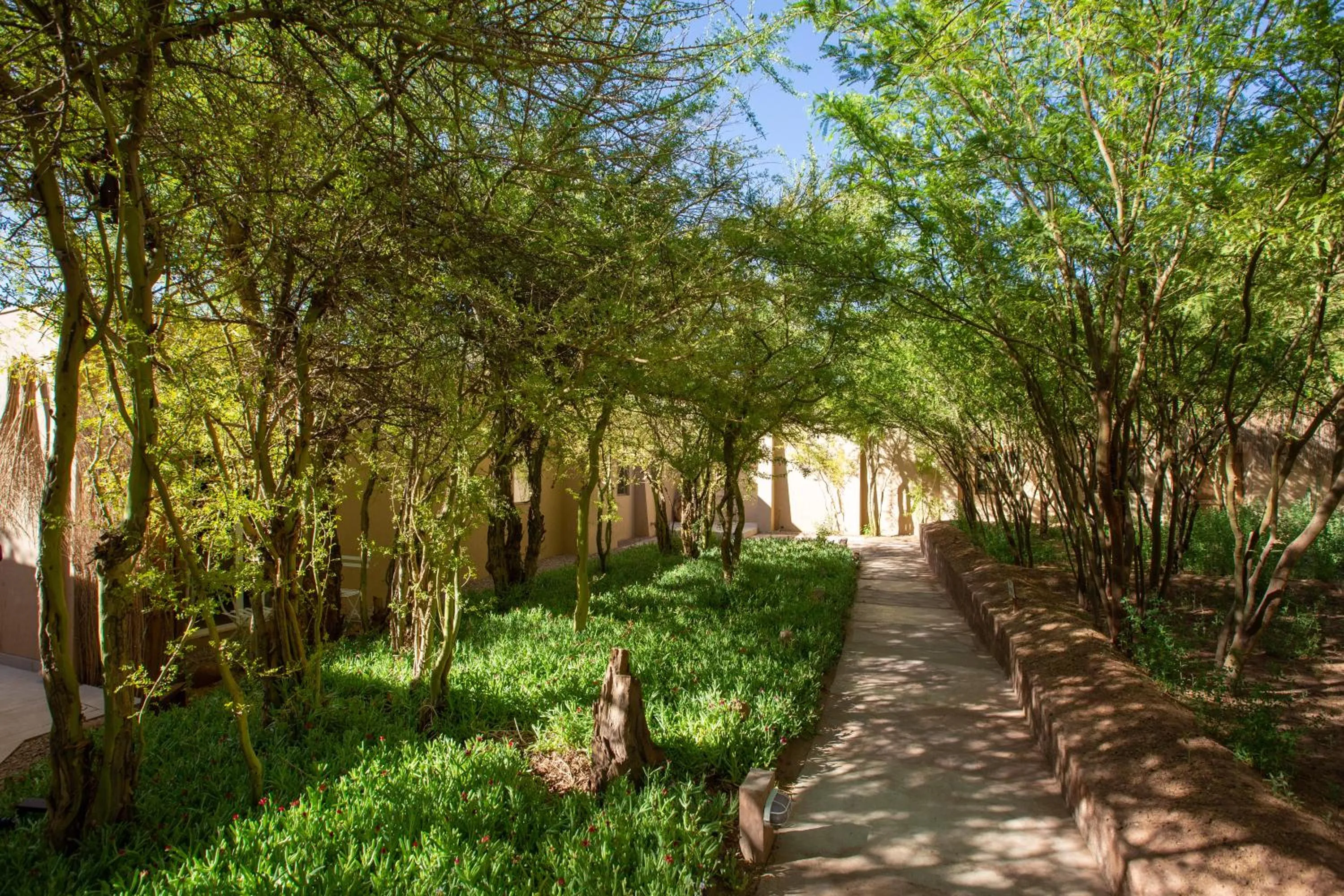 Day in Casa Solcor Boutique Bed & Breakfast