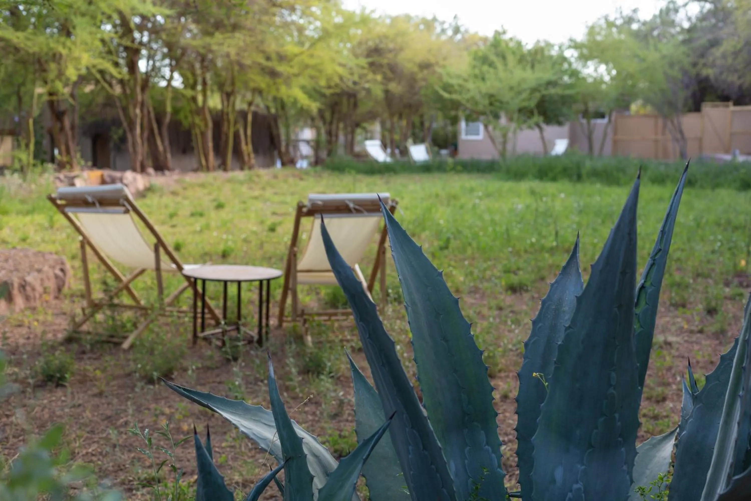 Day in Casa Solcor Boutique Bed & Breakfast