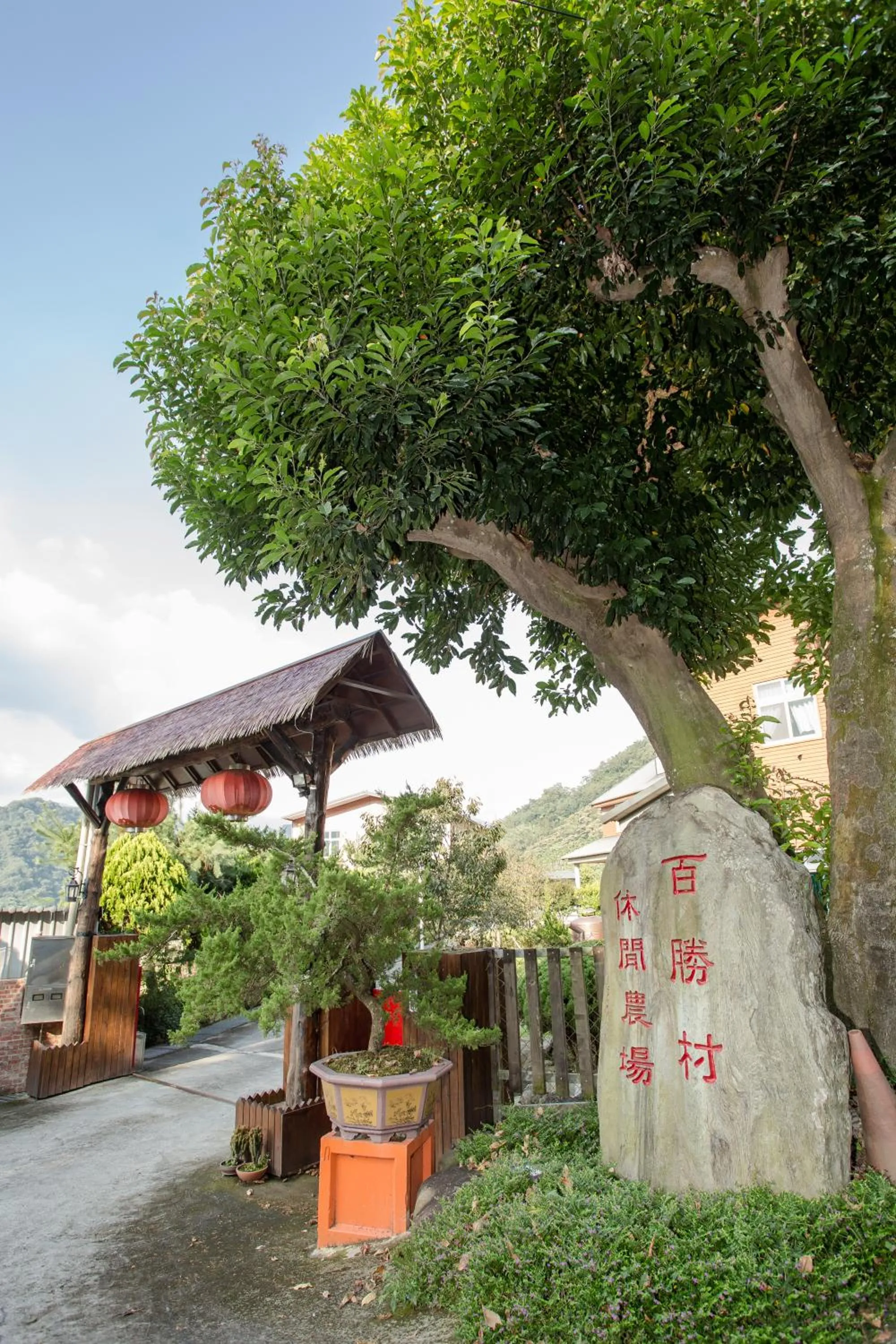 Bai Shengcun Homestay