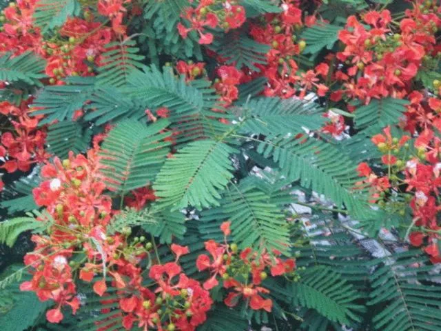 Day in Pousada 7 Mares