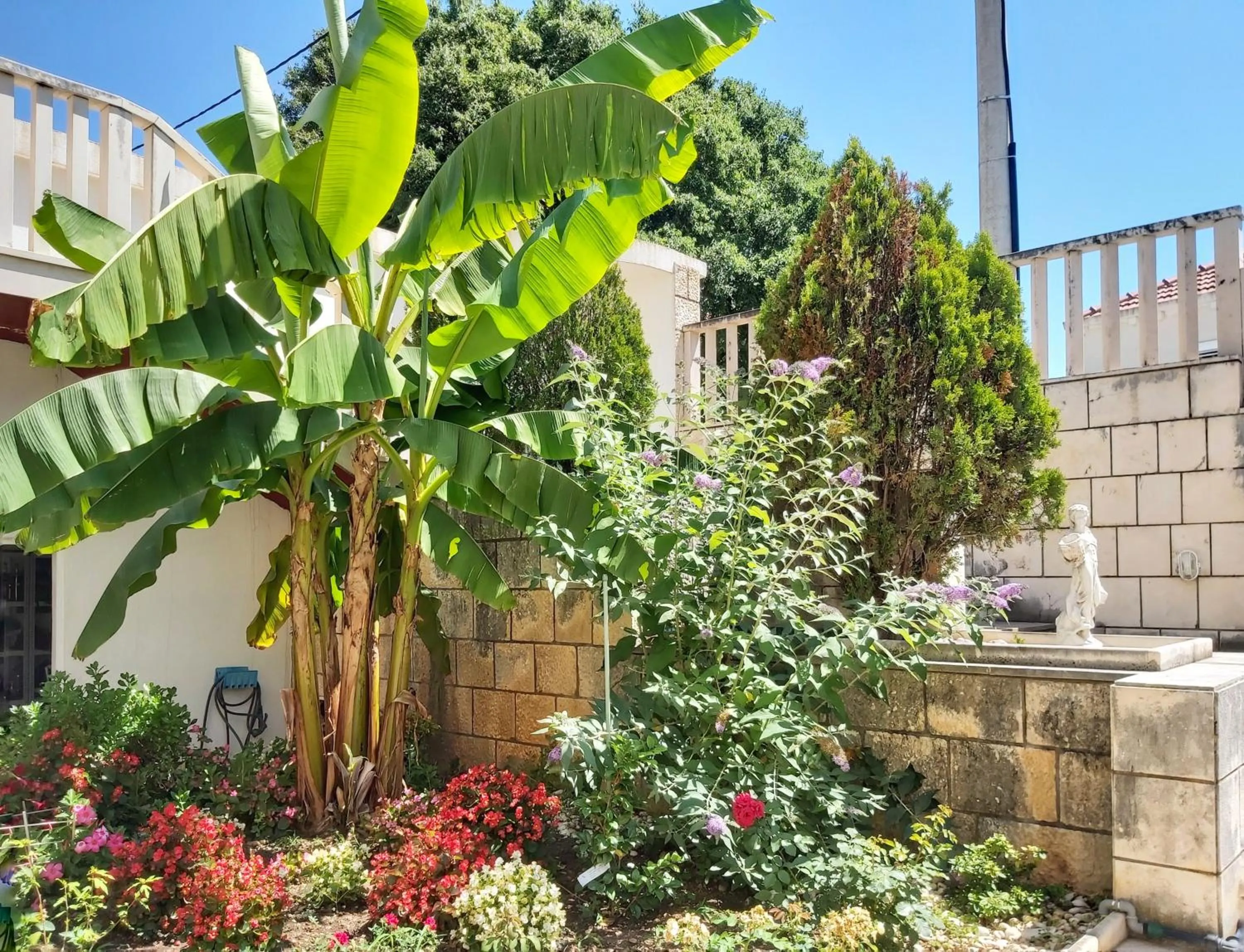 Garden in Adria Apartments and Rooms