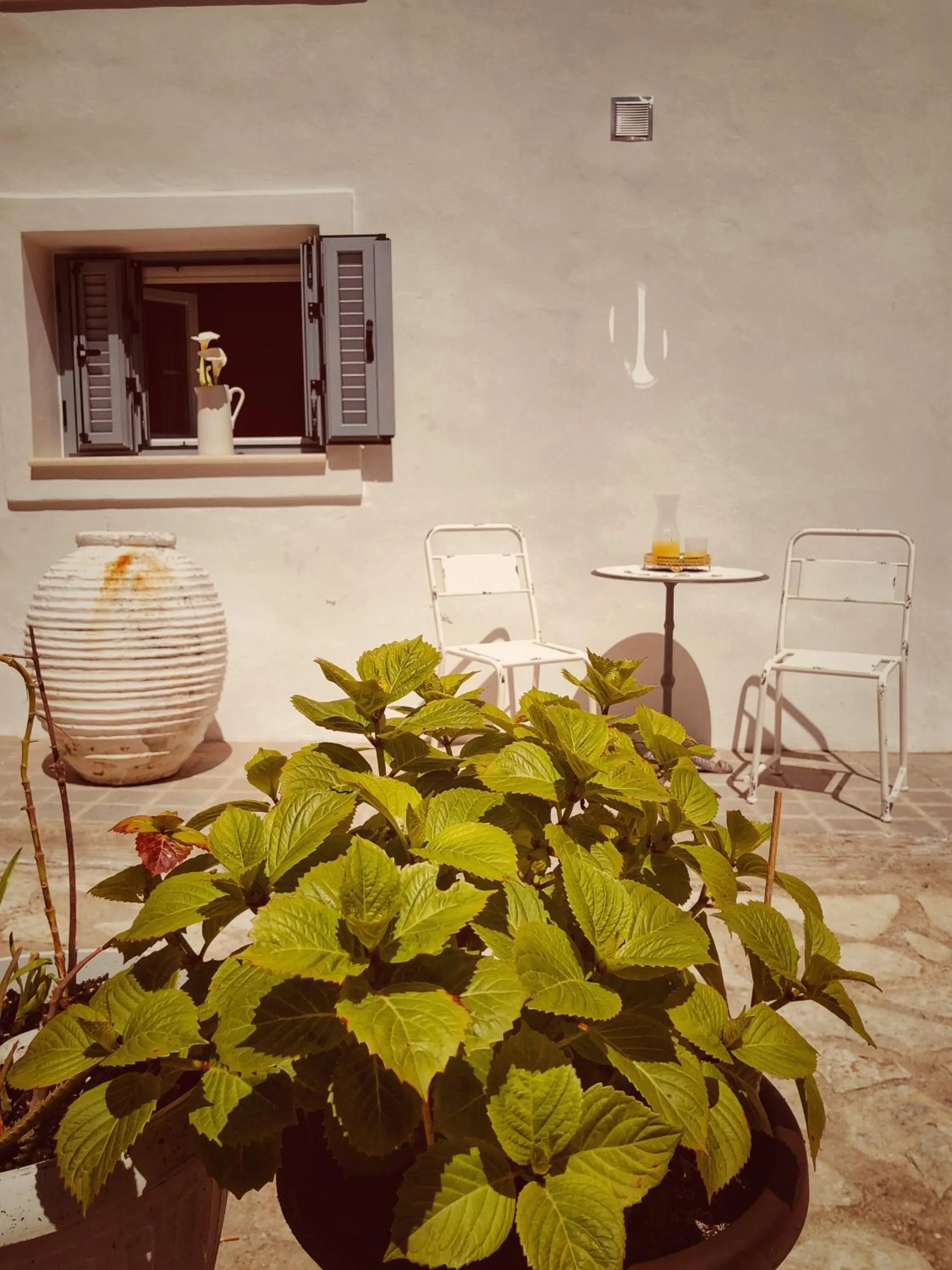 Restaurant/places to eat in Hotel Acropol