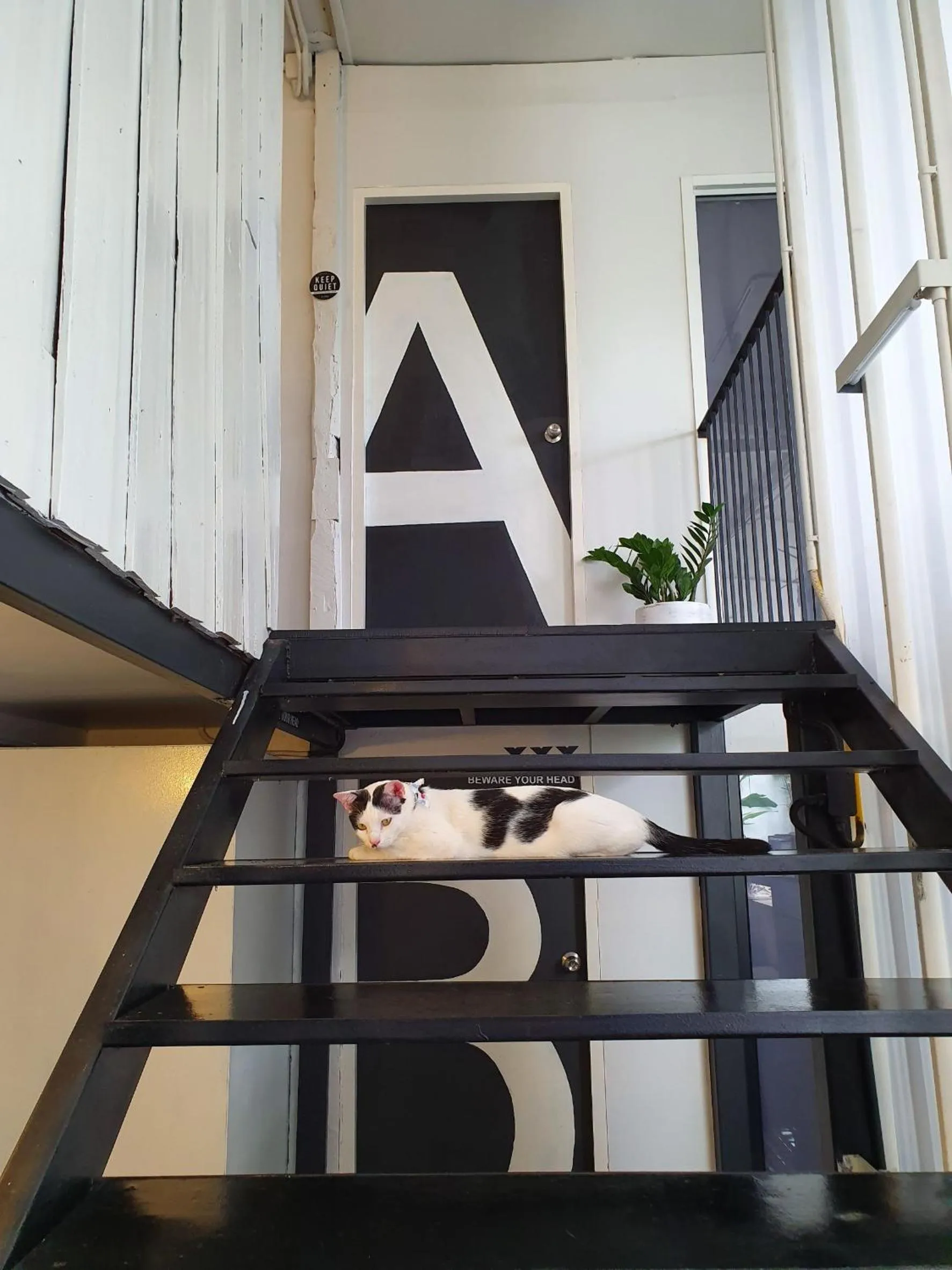 Property building in The PARK Society