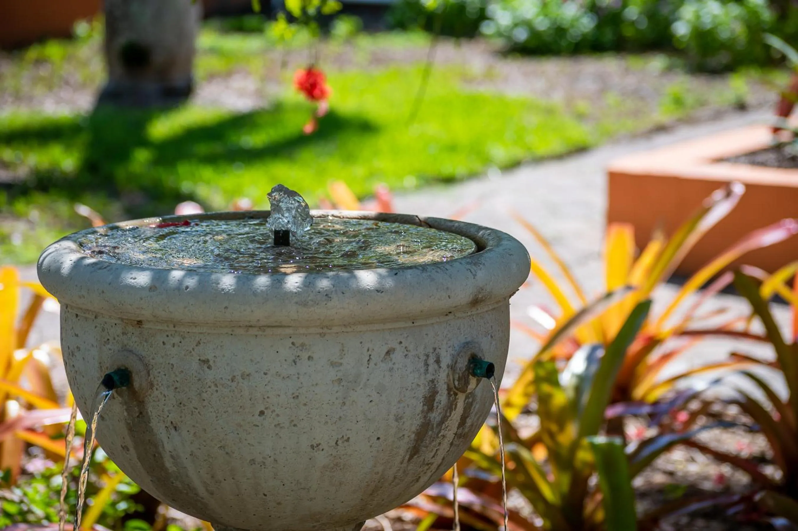 Garden in Sanibel Moorings Resort