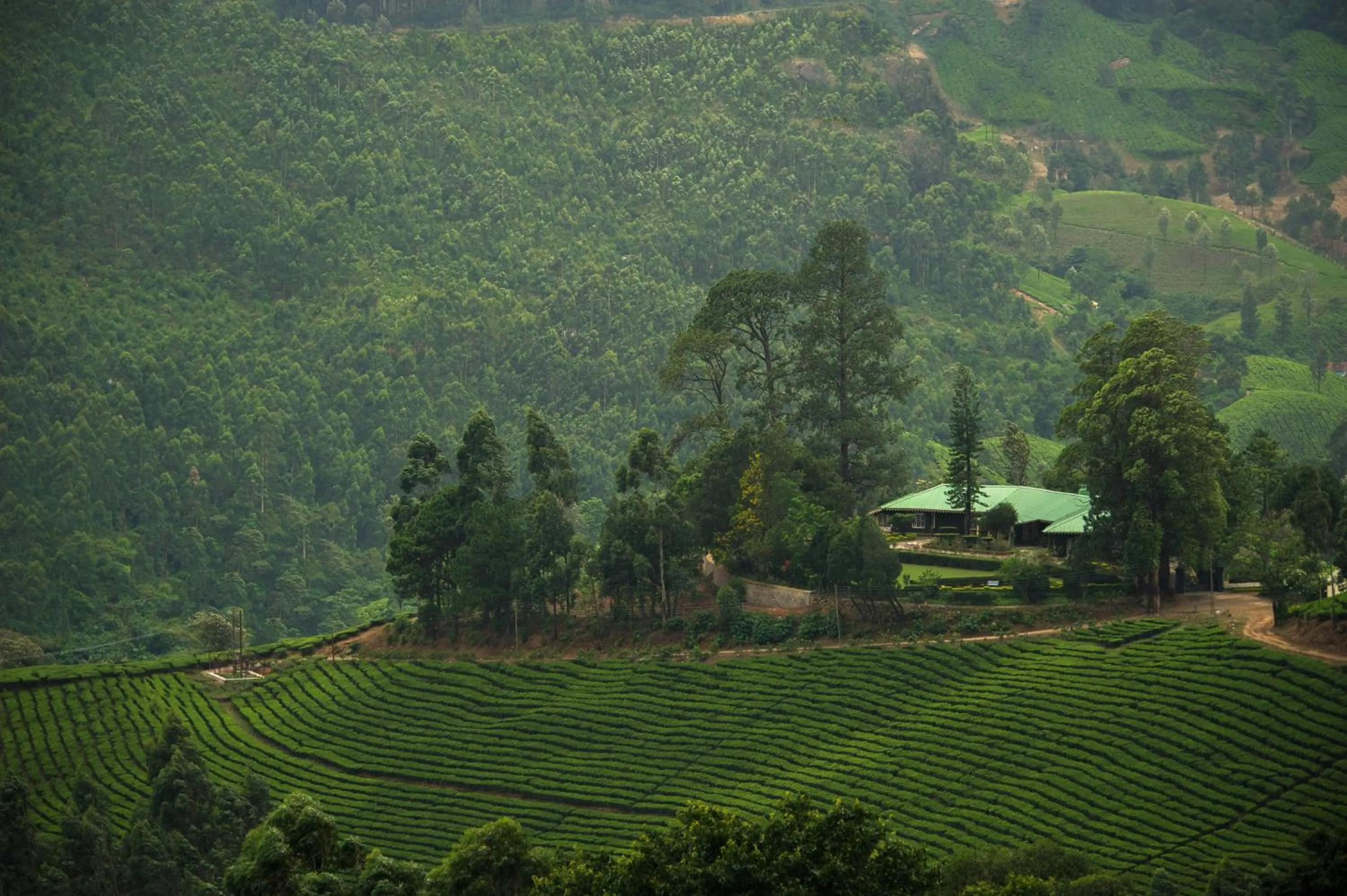 Bed in Talayar Valley Bungalow