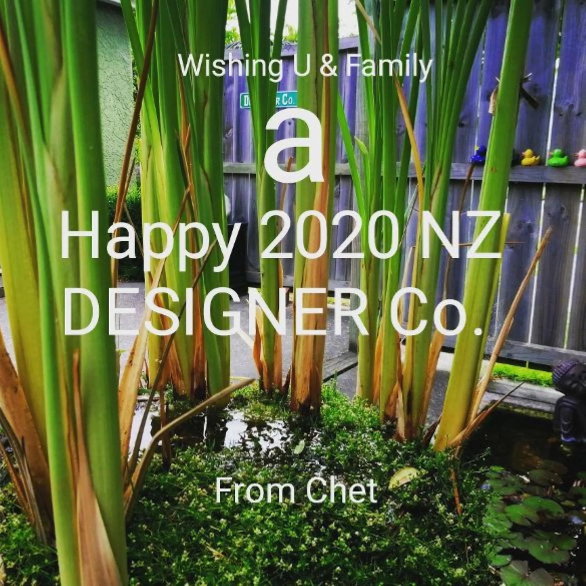 Garden in Designer Cottage