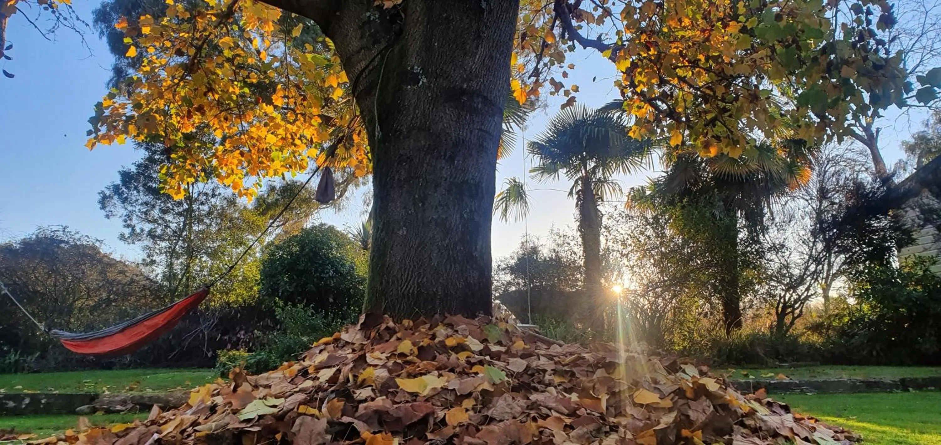 Off The Beaten Trail Acc & Bike Tours