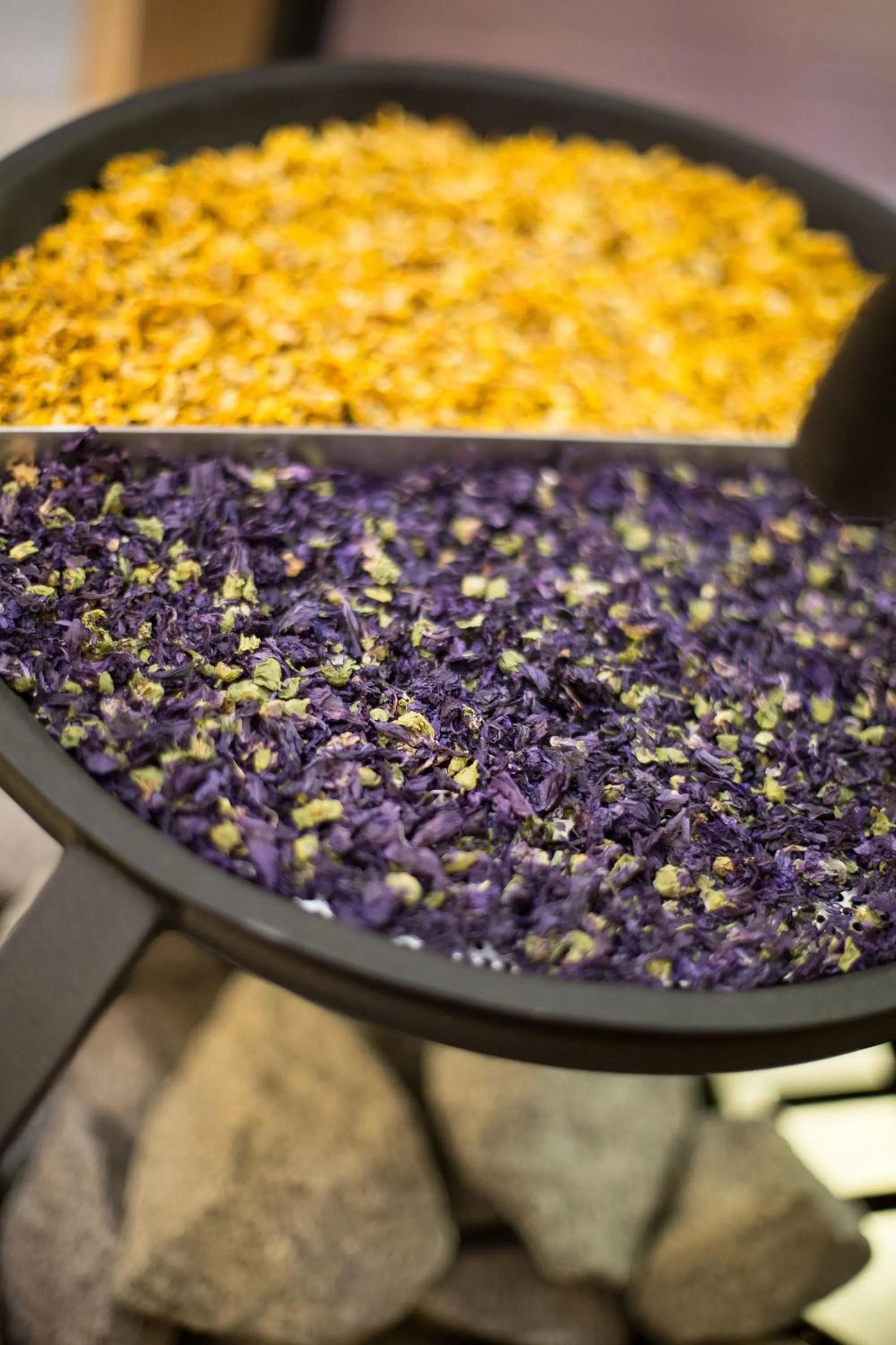 Spa and wellness centre/facilities in Hotel Gletscherblick