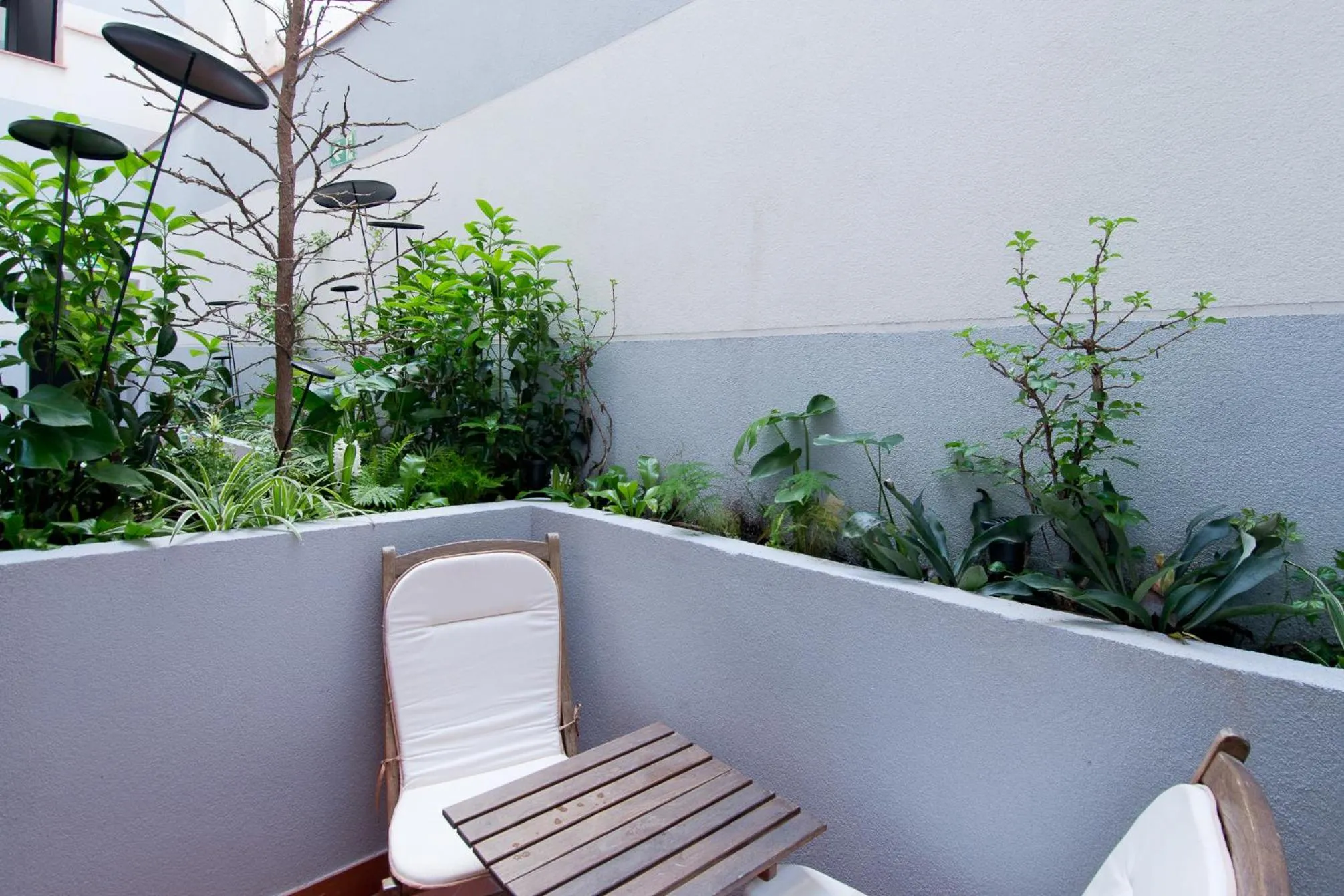 Patio in Amor de Dios 17 Boutique Apartments