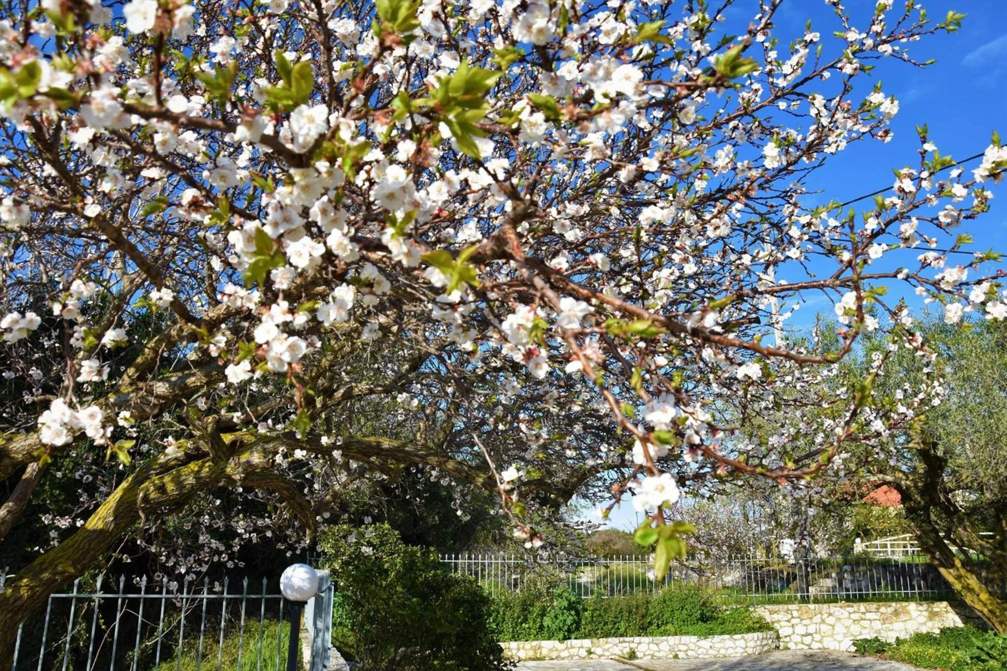 Dafnoudi Hotel Apartments