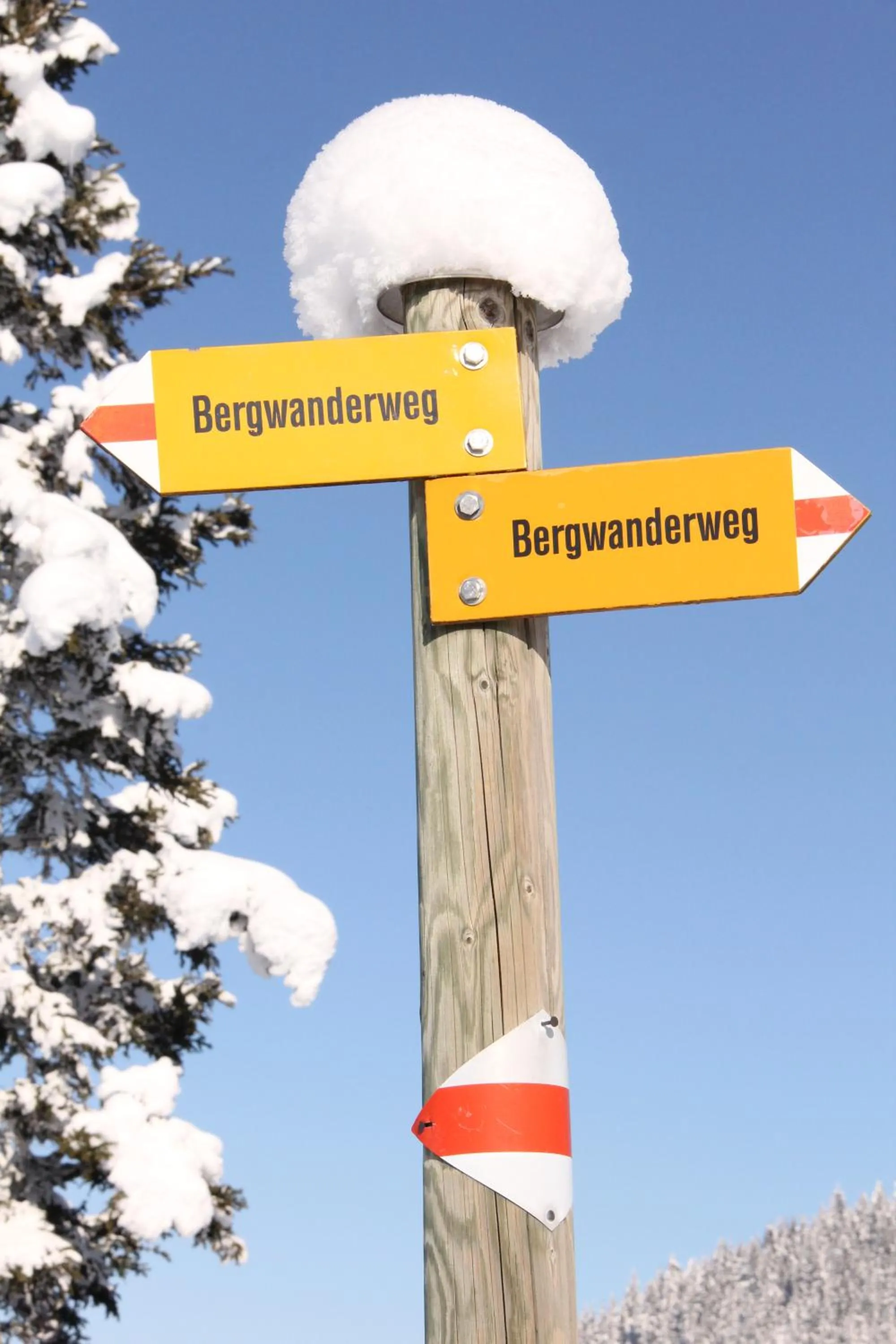 Other in Hotel Rothorn Vintage-Style