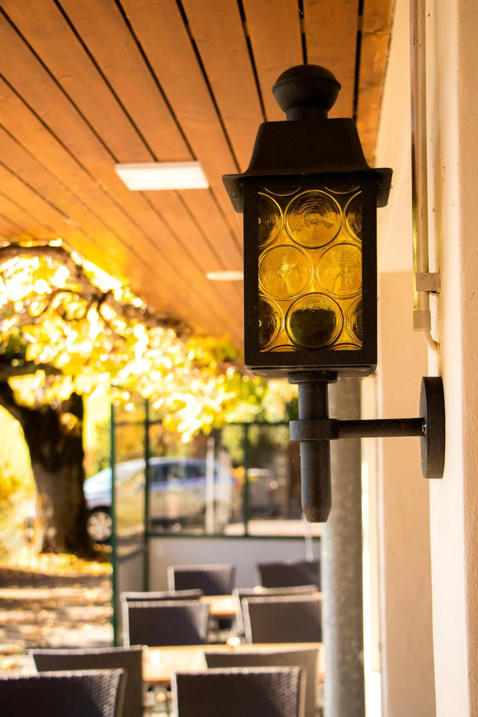 Garden in Hotel Rothorn Vintage-Style