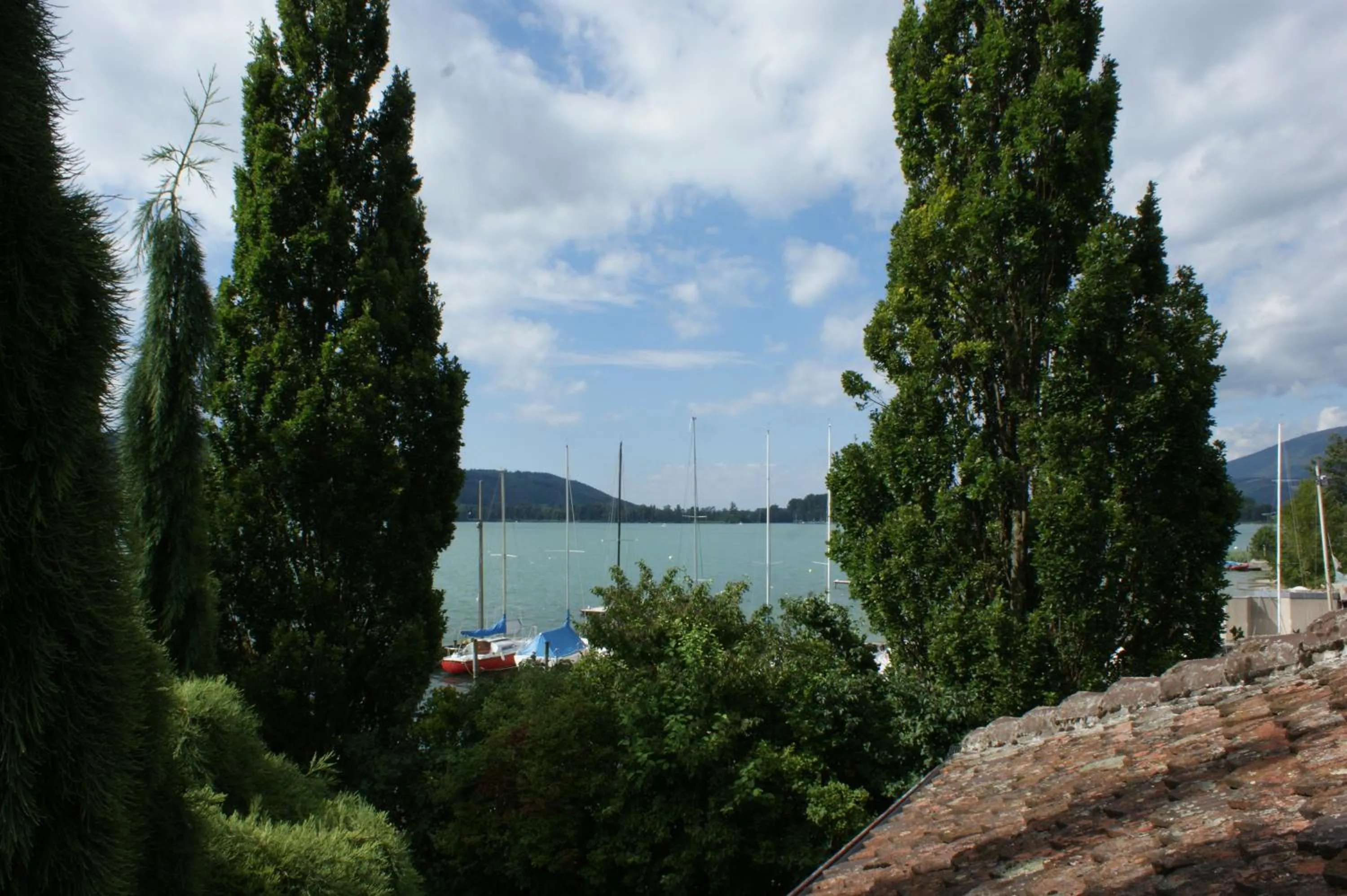 View (from property/room) in Hotel Jean-Jacques Rousseau