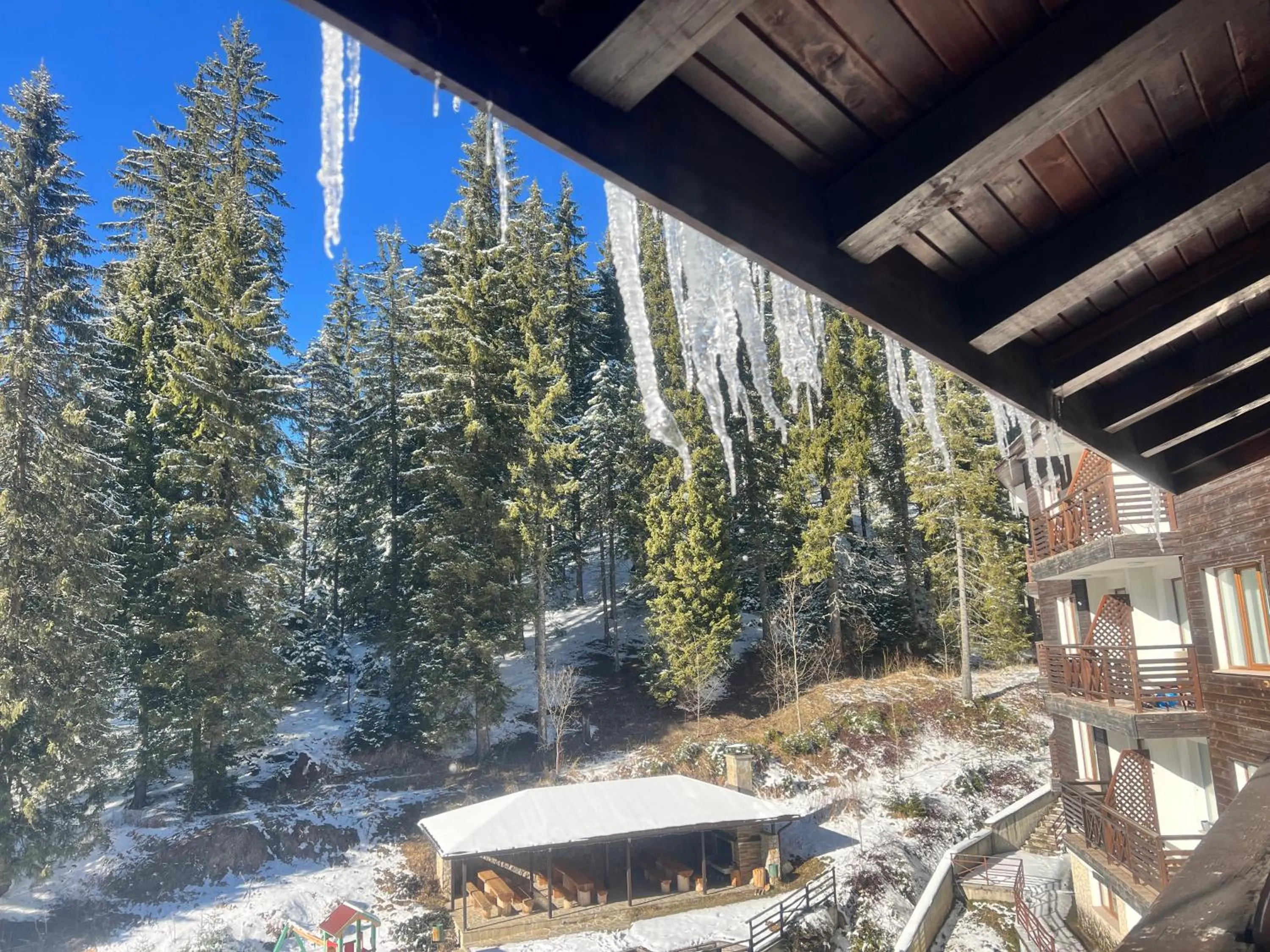 Balcony/Terrace in The Stream Resort Pamporovo