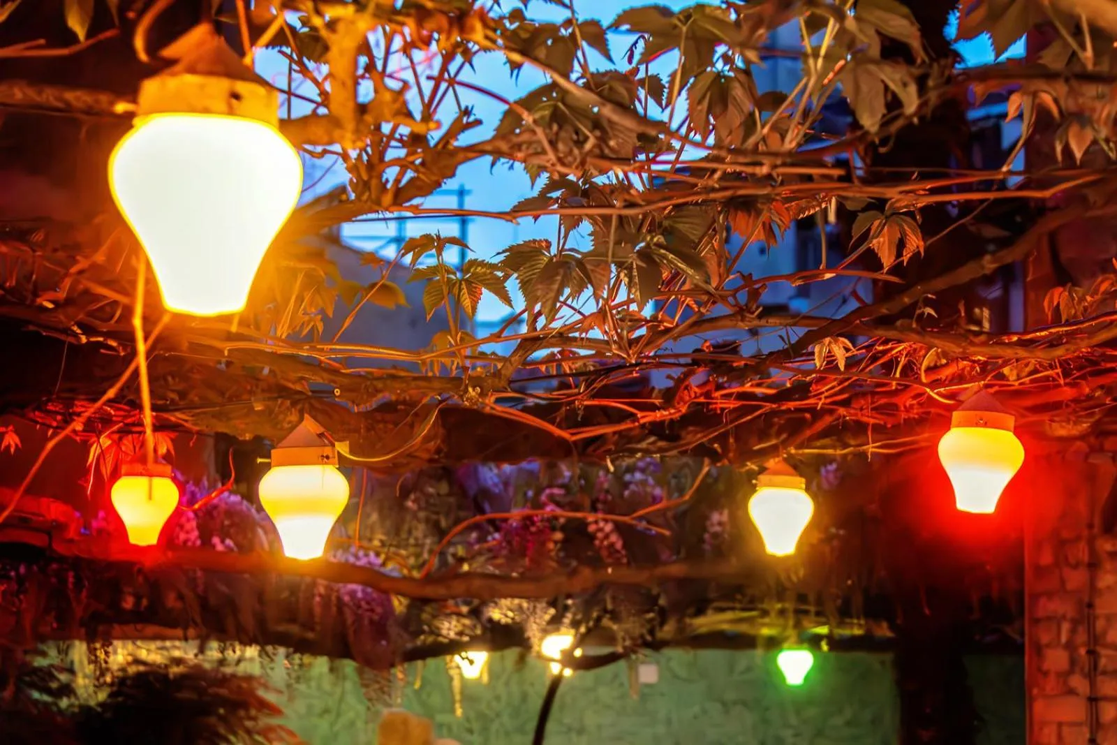 Garden in Hotel Casa Boccassini