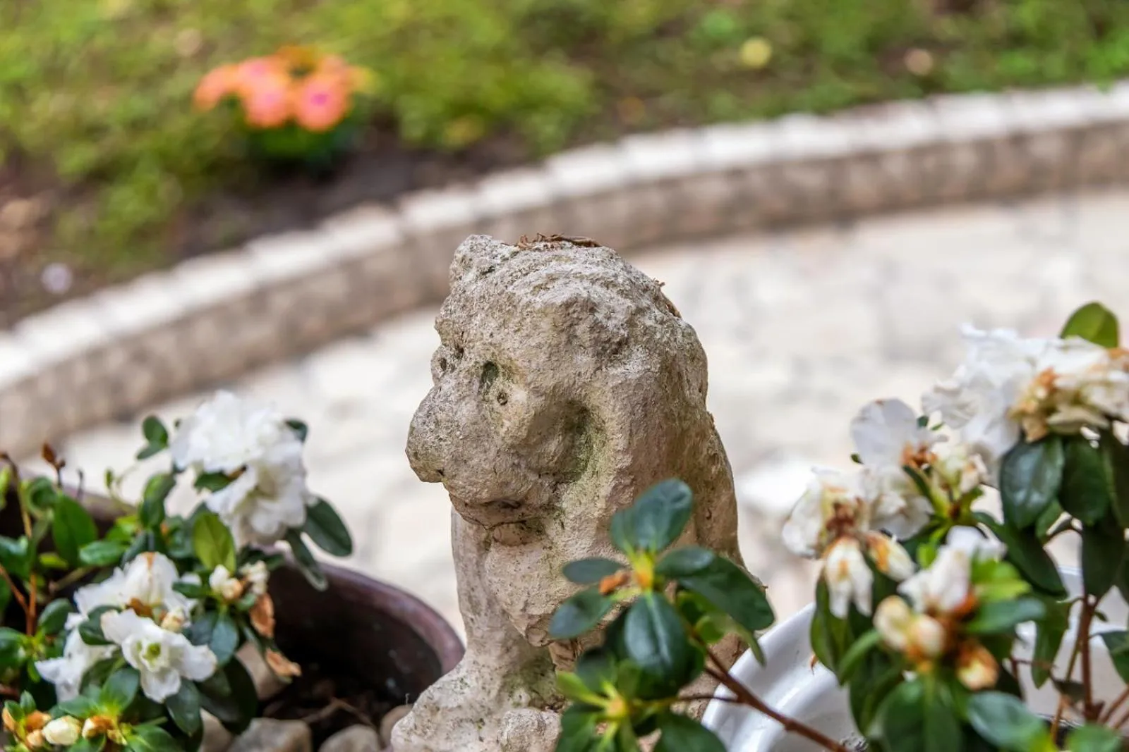 Decorative detail in Hotel Casa Boccassini