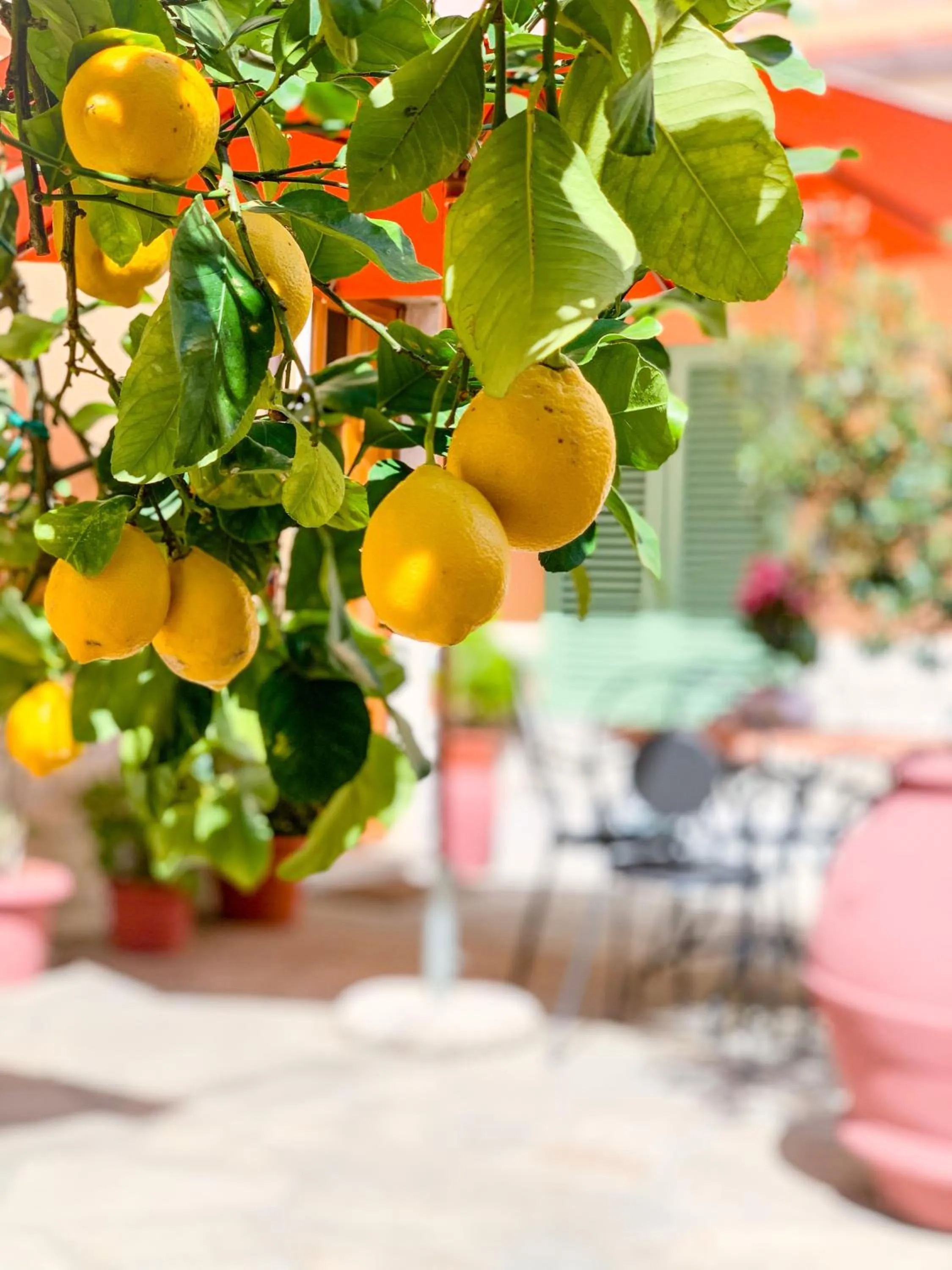 Day in Cuore di Nozzano Castello