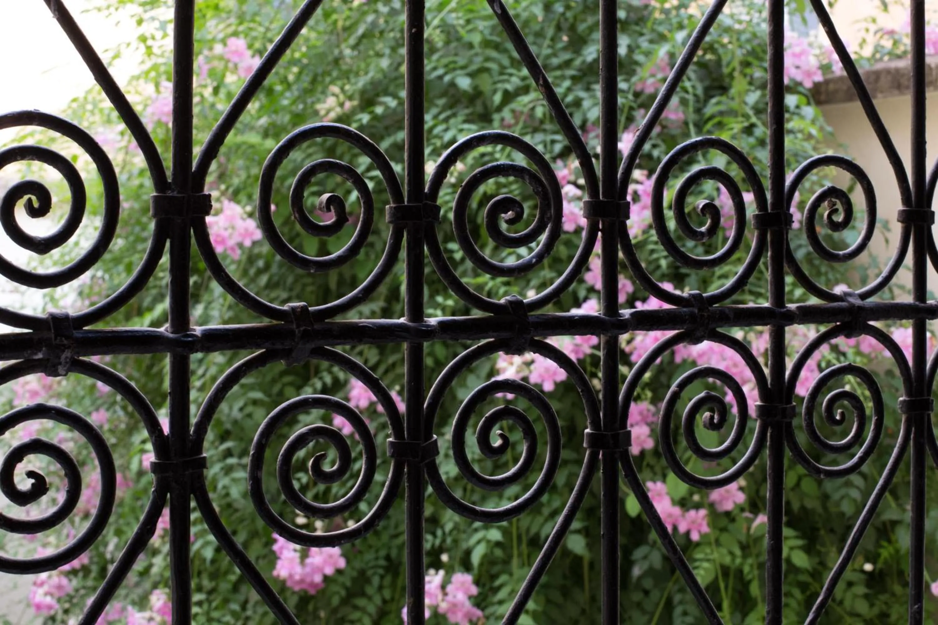 Restaurant/places to eat in Riad Jardin Chrifa