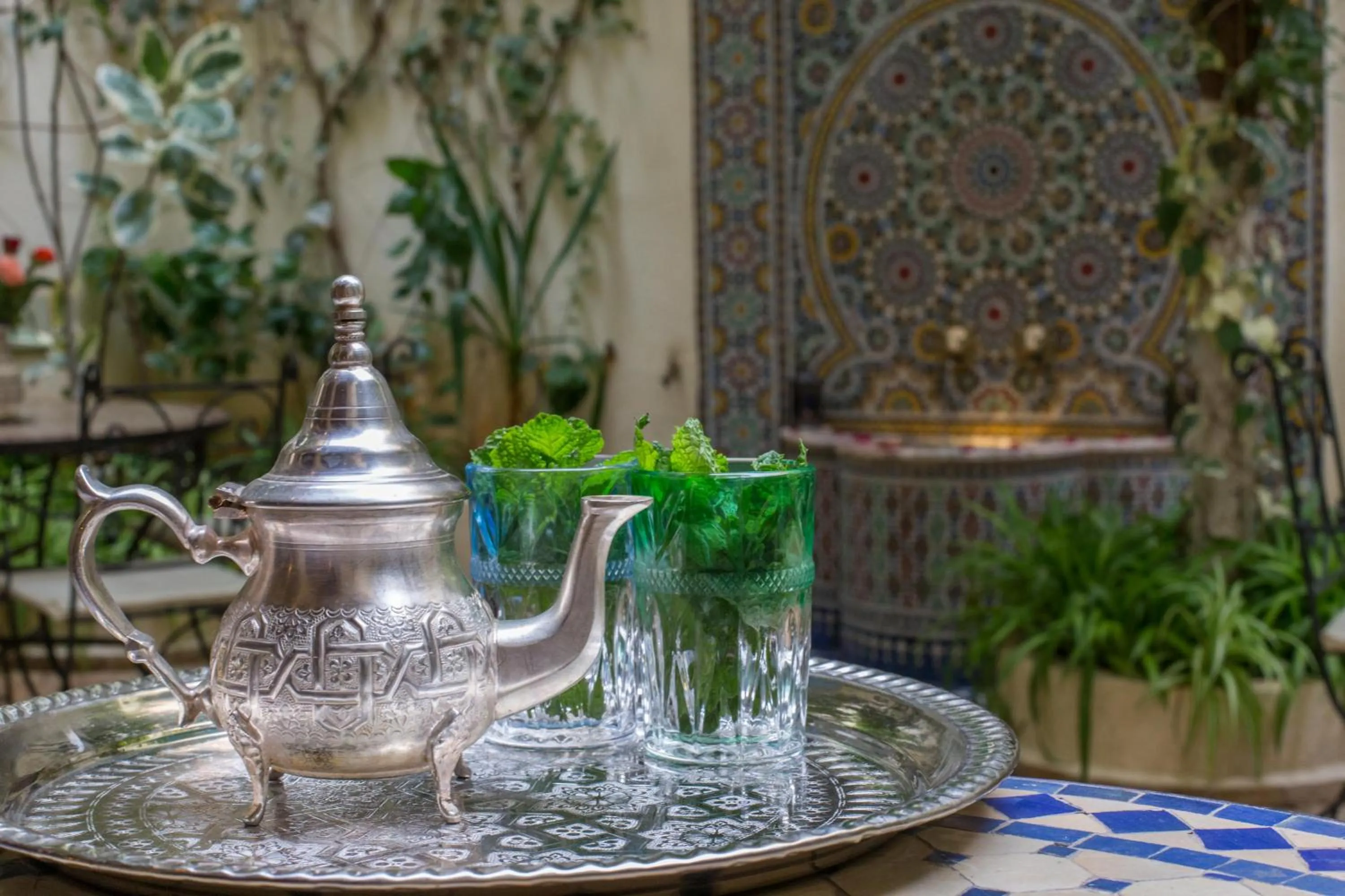 Garden in Riad Jardin Chrifa