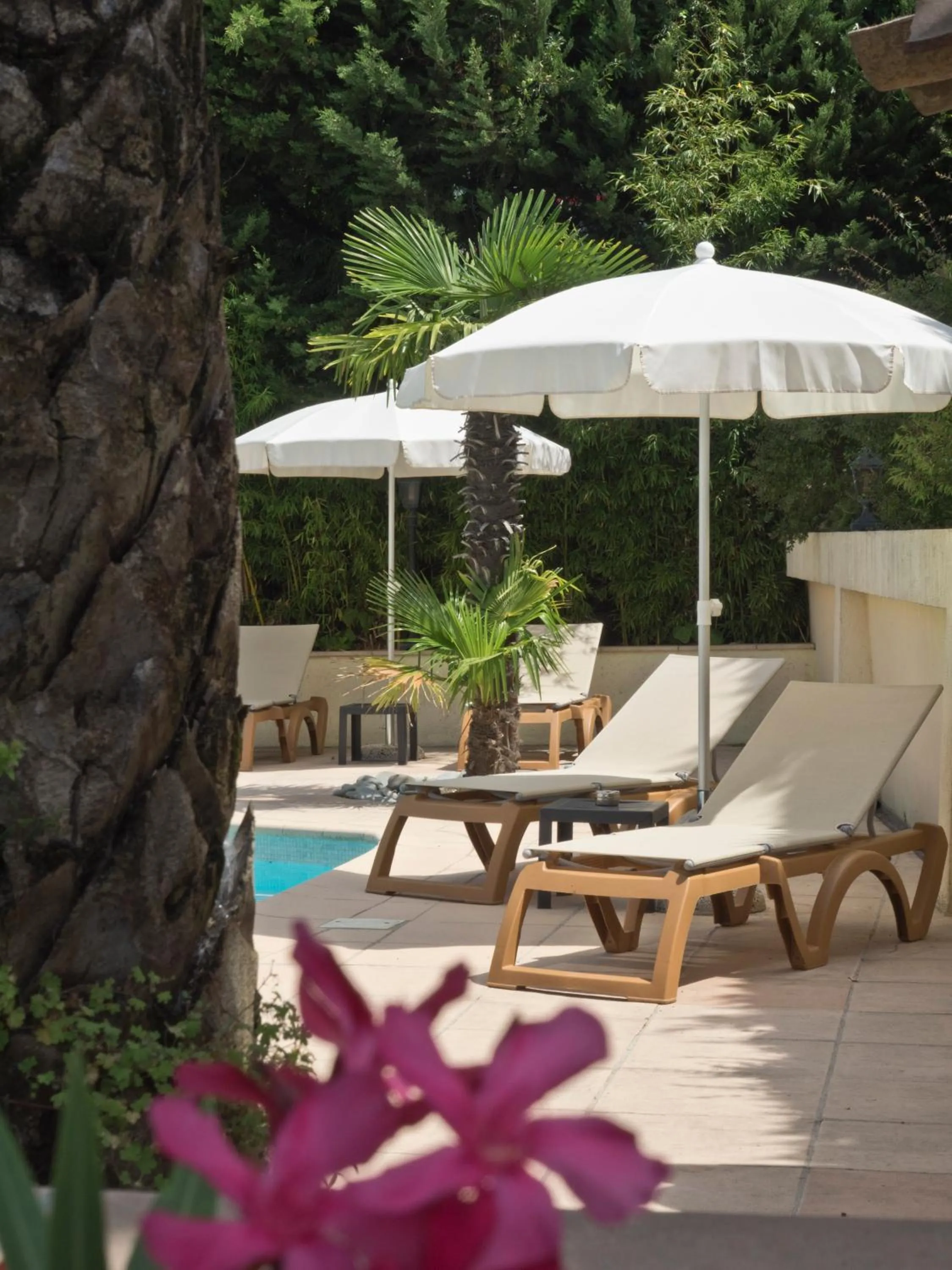 Swimming pool in Hotel Les Oliviers