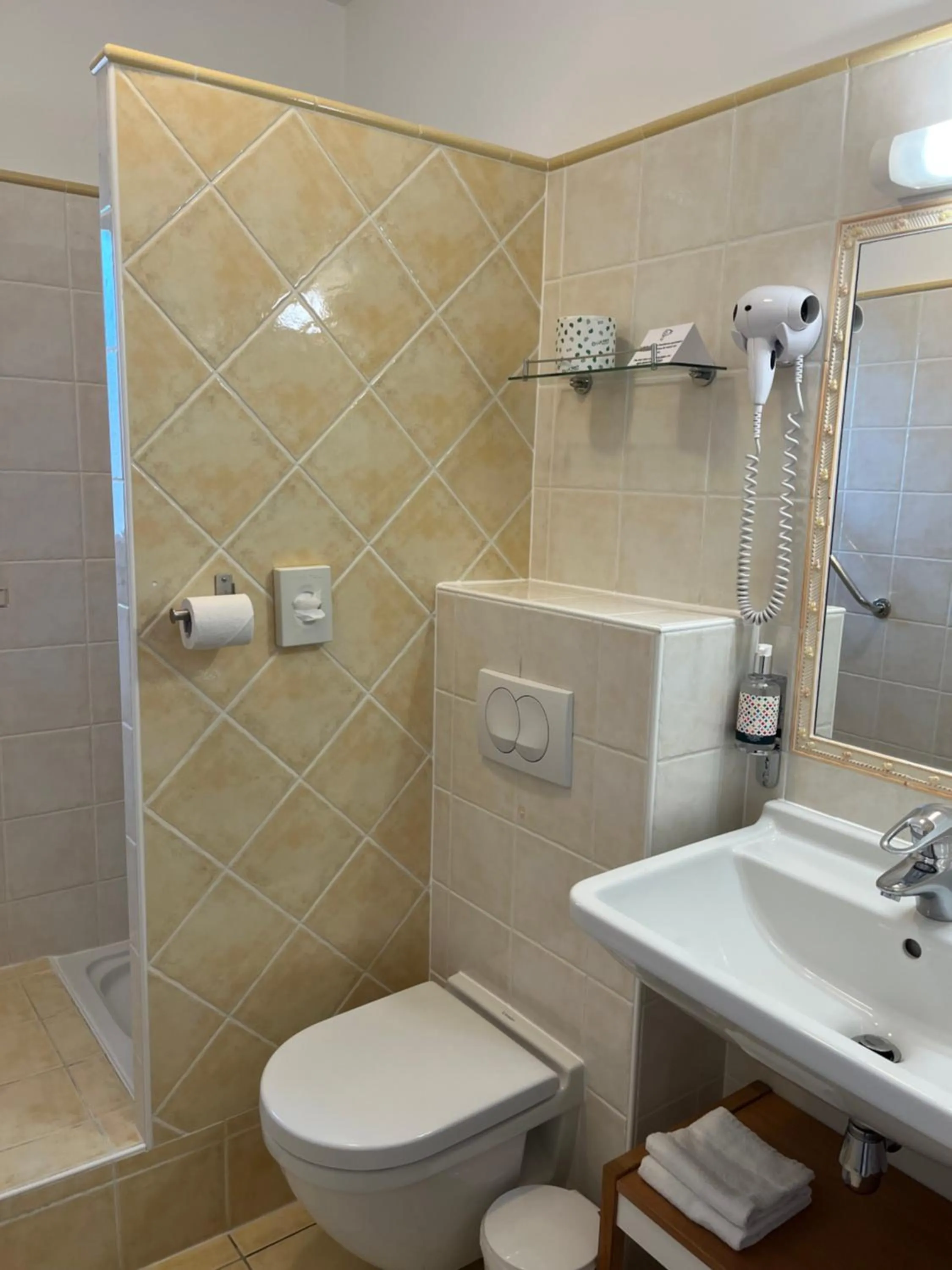 Shower in Hotel Les Oliviers