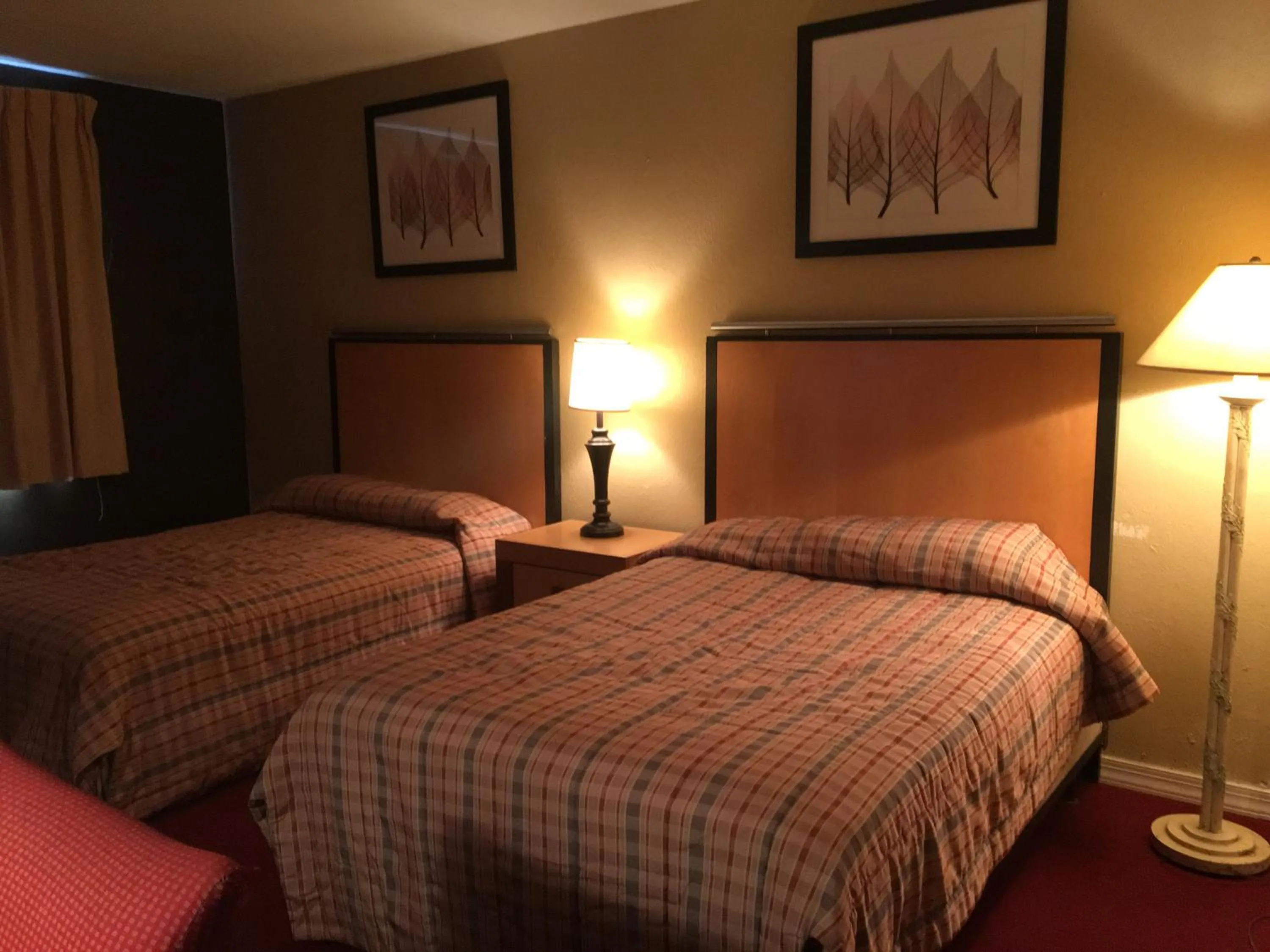 Bed in Executive Economy Lodge