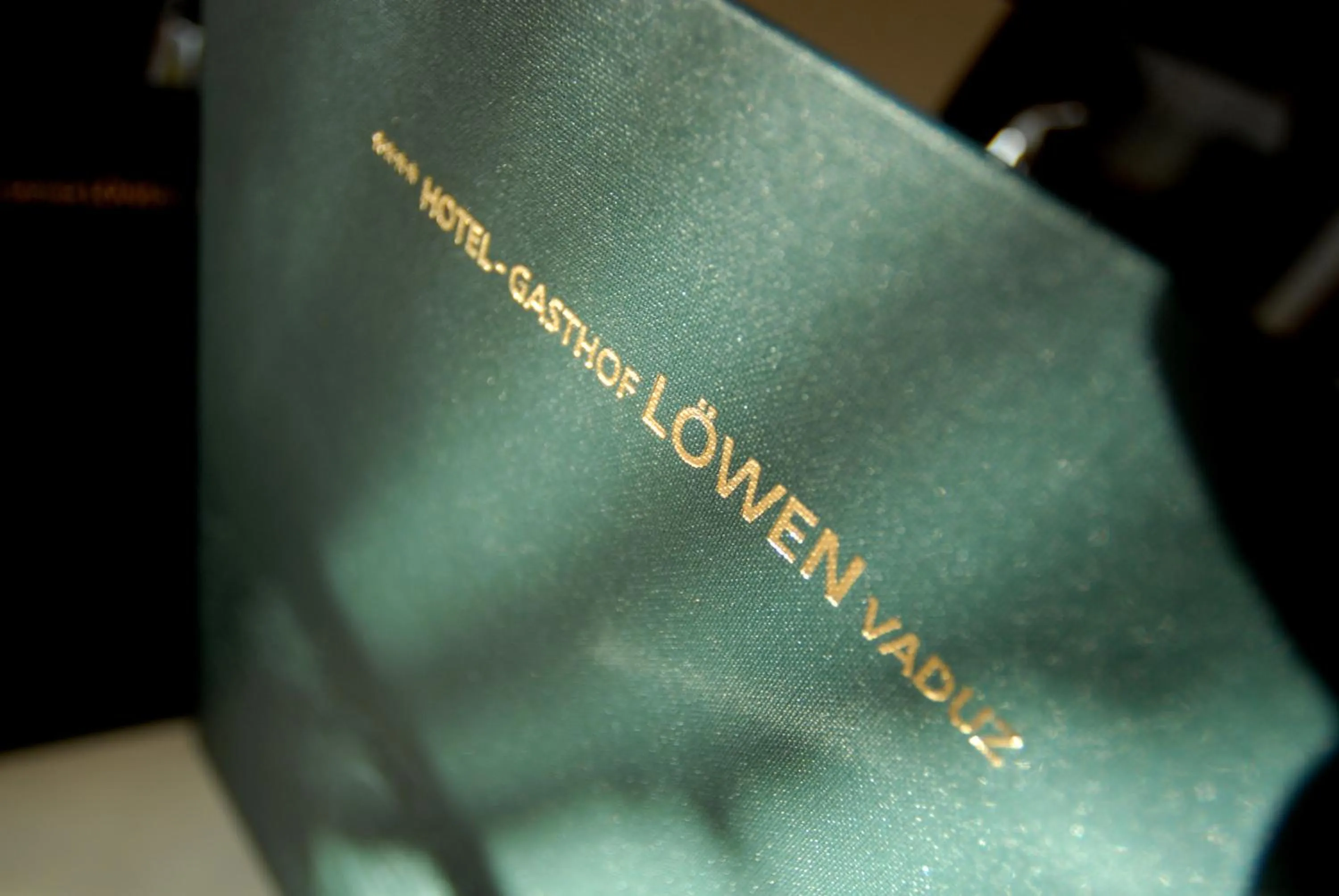 Other in Hotel Gasthof Löwen