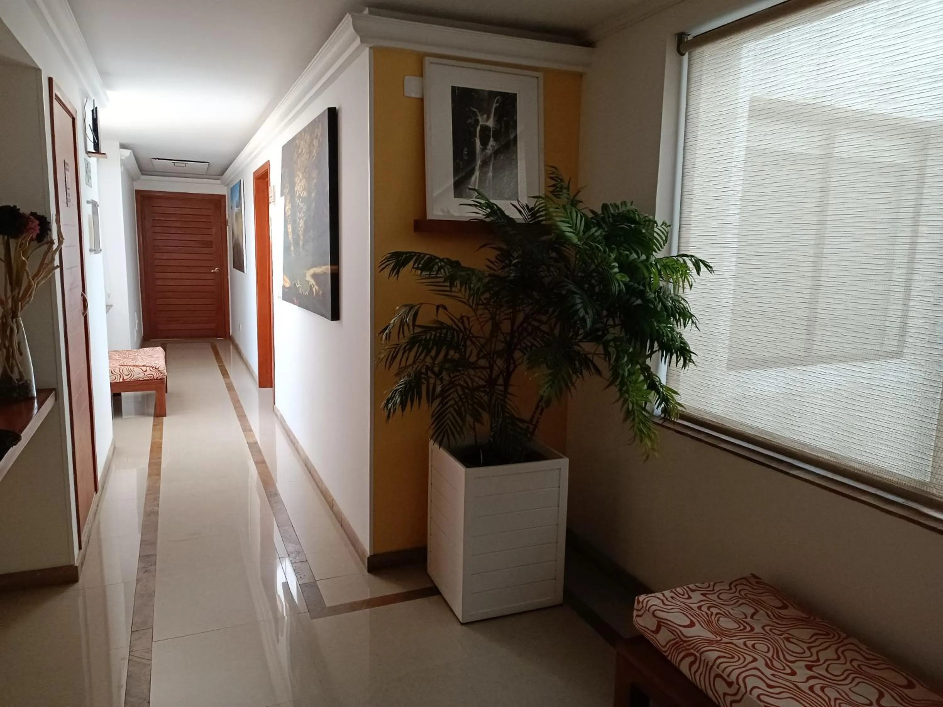 Area and facilities in Hotel Boutique Confort Suites