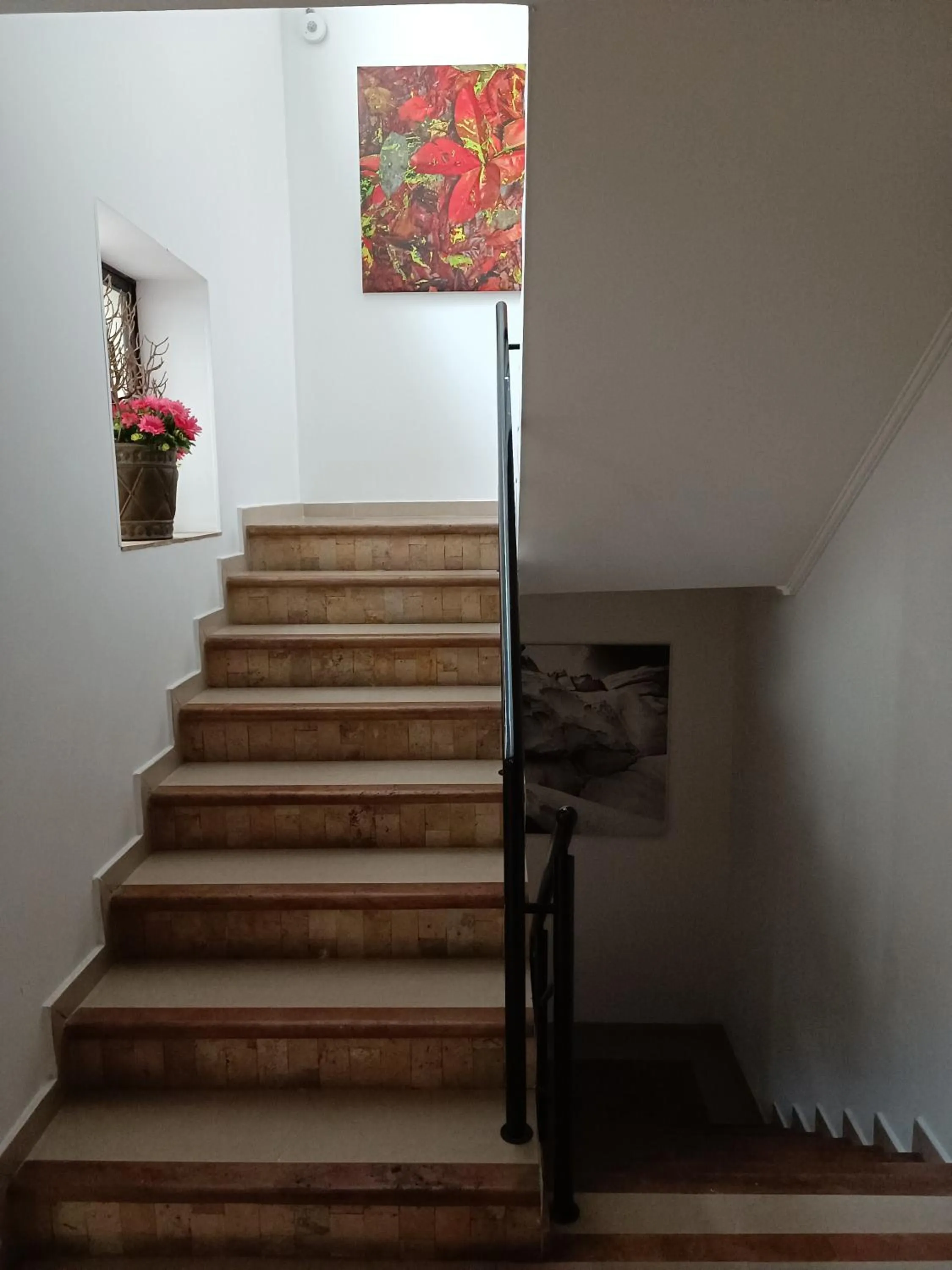 Area and facilities in Hotel Boutique Confort Suites