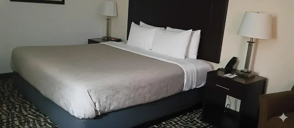 King Room - Accessible/Non-Smoking in Quality Inn Lamar King Room - Accessible/Non-Smoking in Quality Inn Lamar